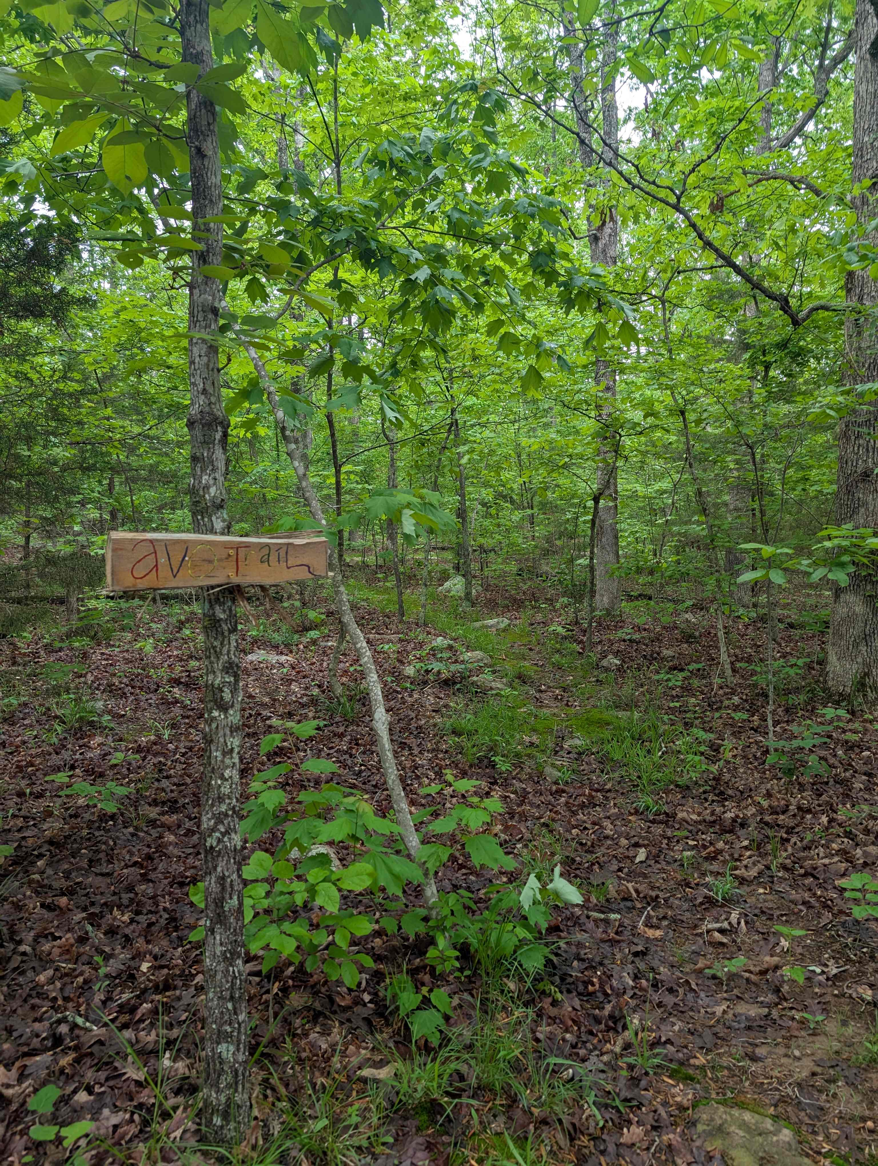 Arcadia Valley Outdoors Land
