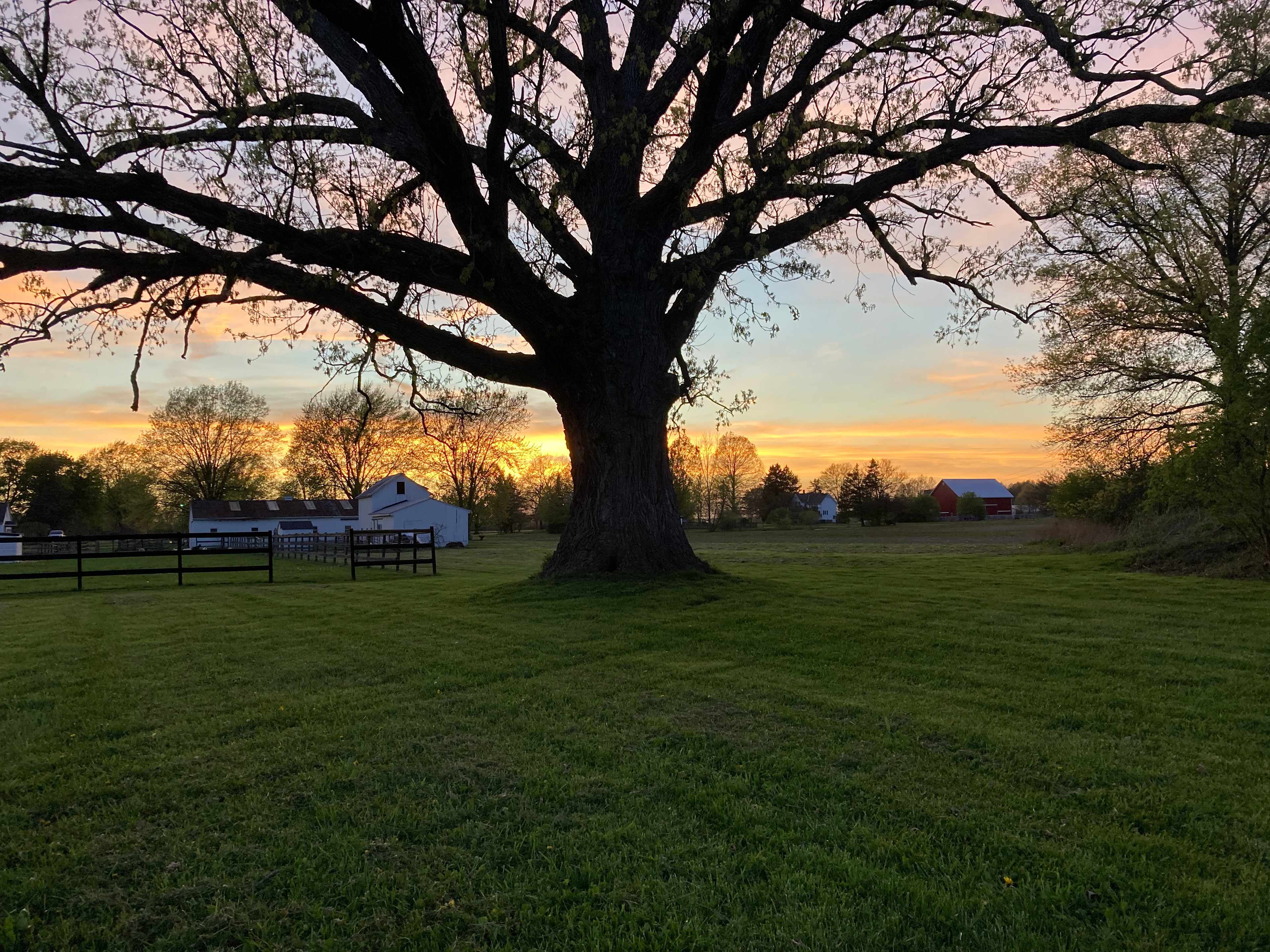Heartland Homestead
