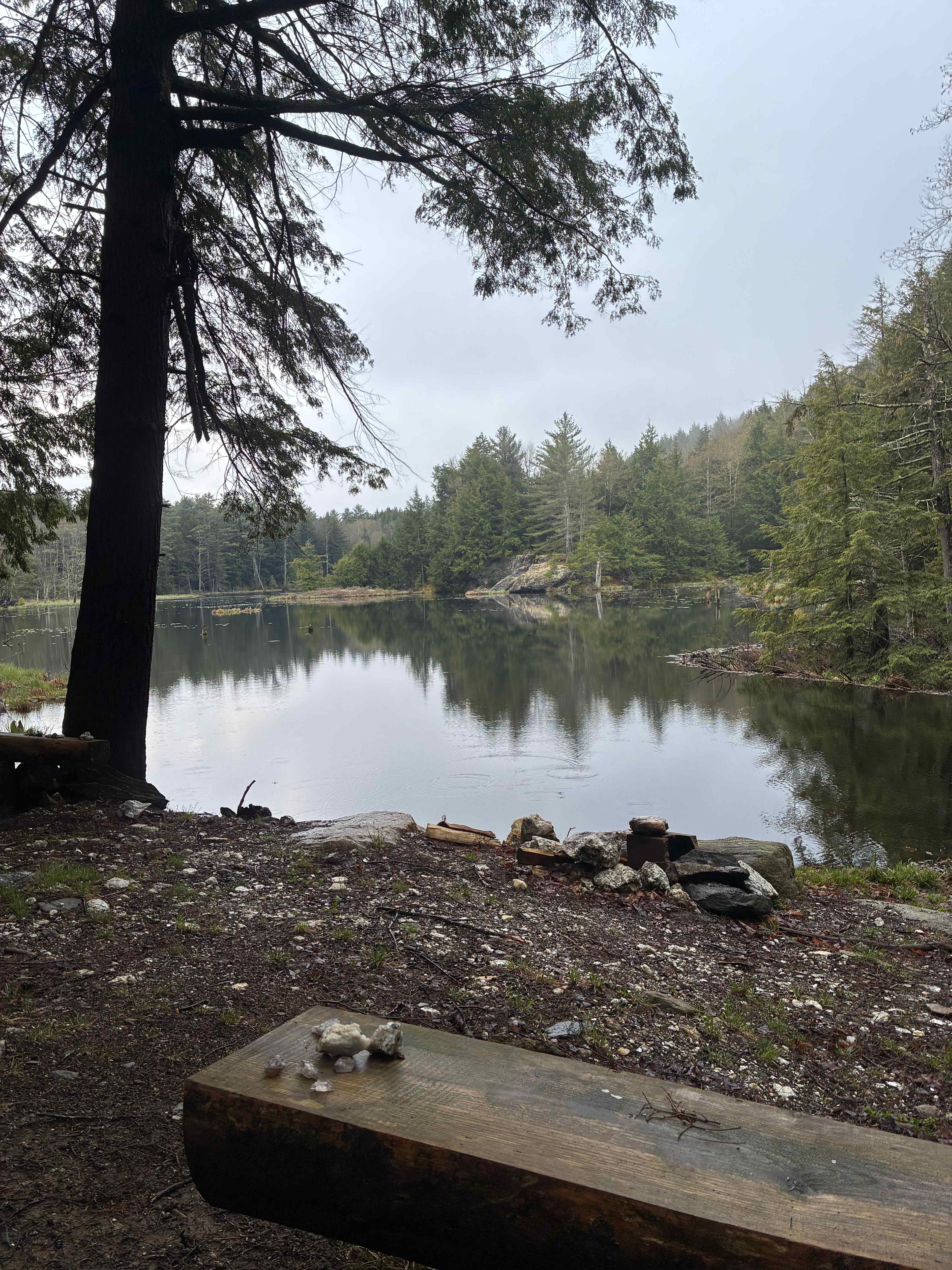 Rainy but beautiful view from my tent. Ceremony site.