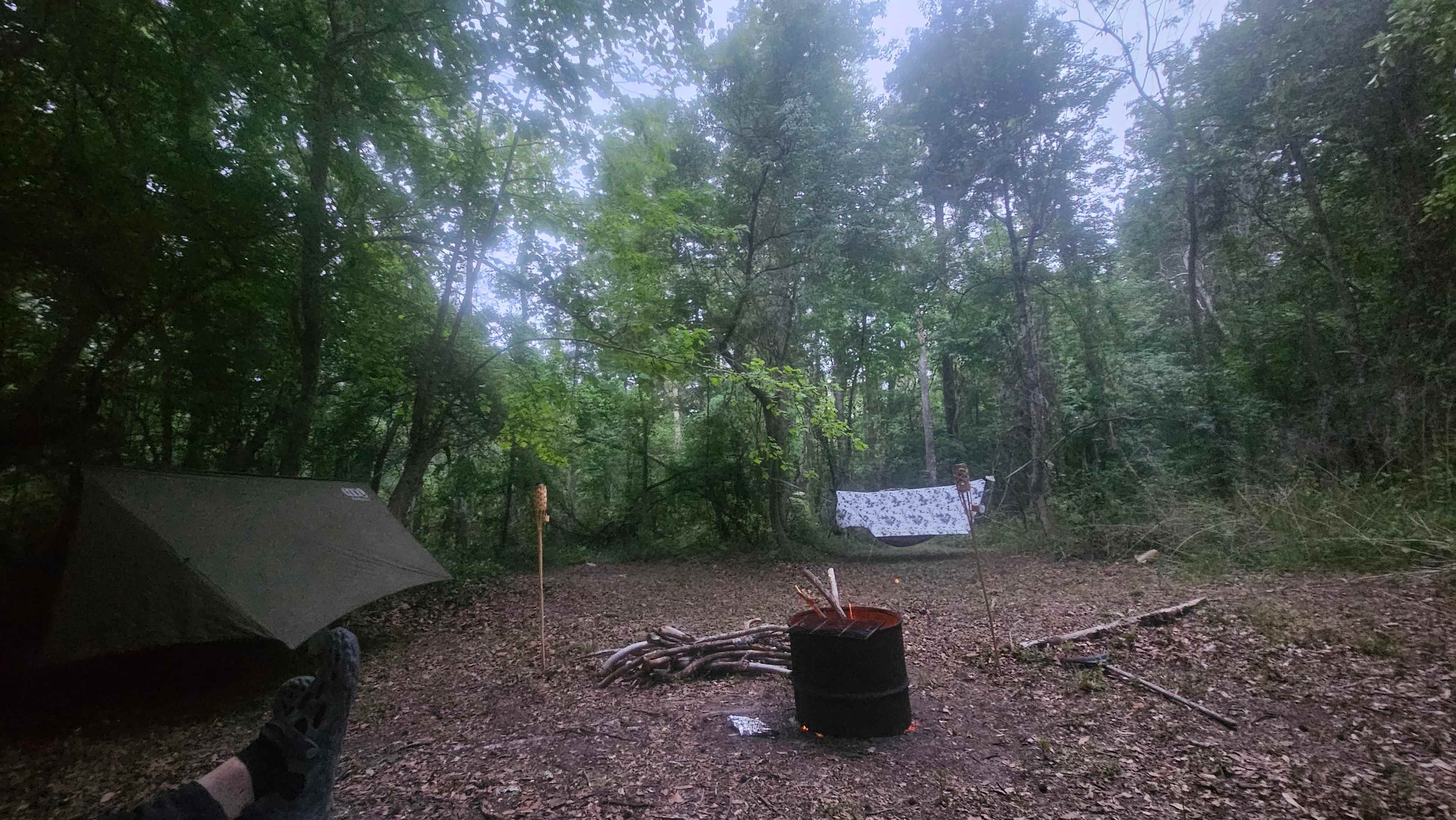 Hammock in the new nodded site