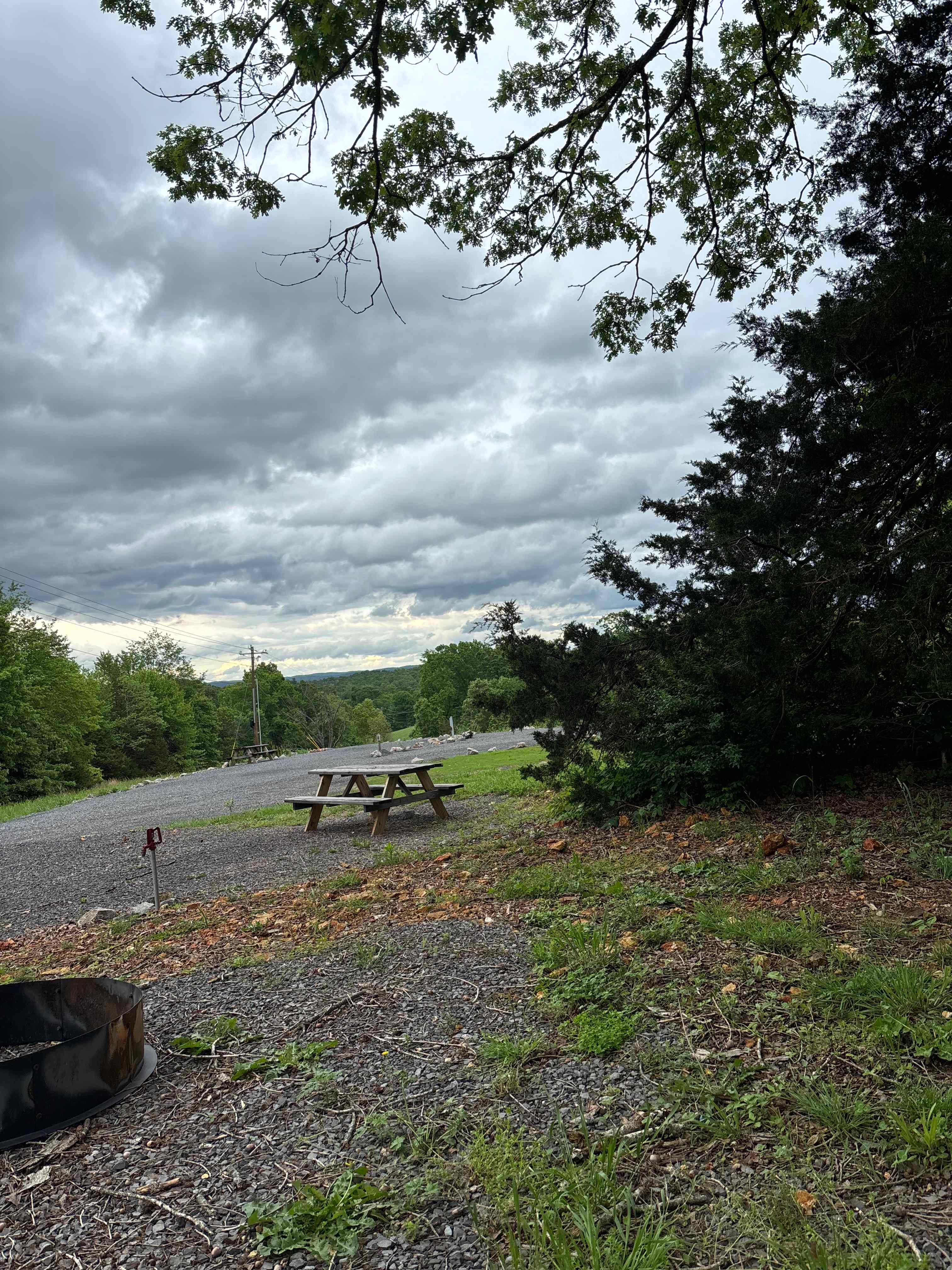 Grassy Road Cabins and RV Camping
