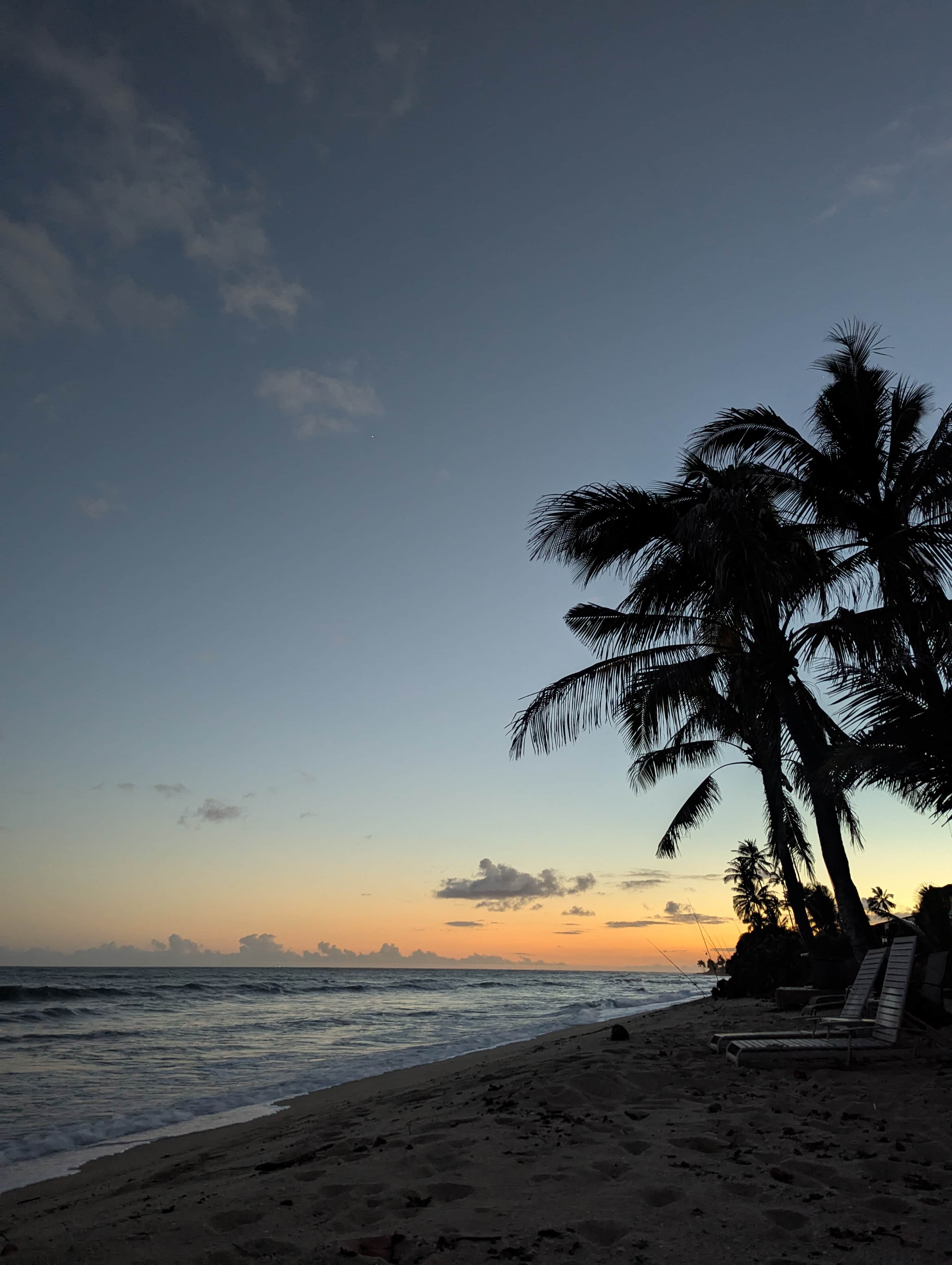 the beach