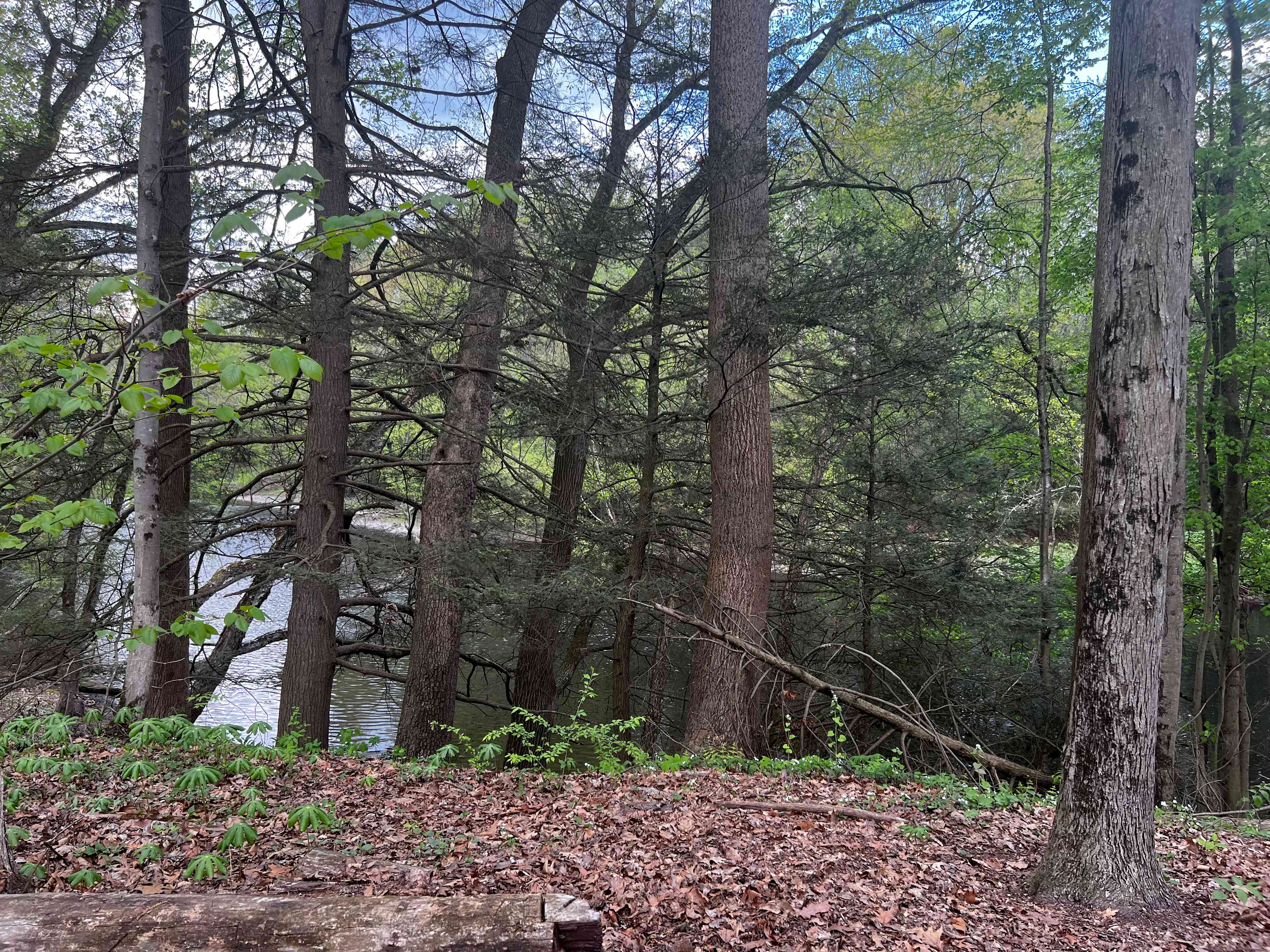 Peace & Quiet by the River!
