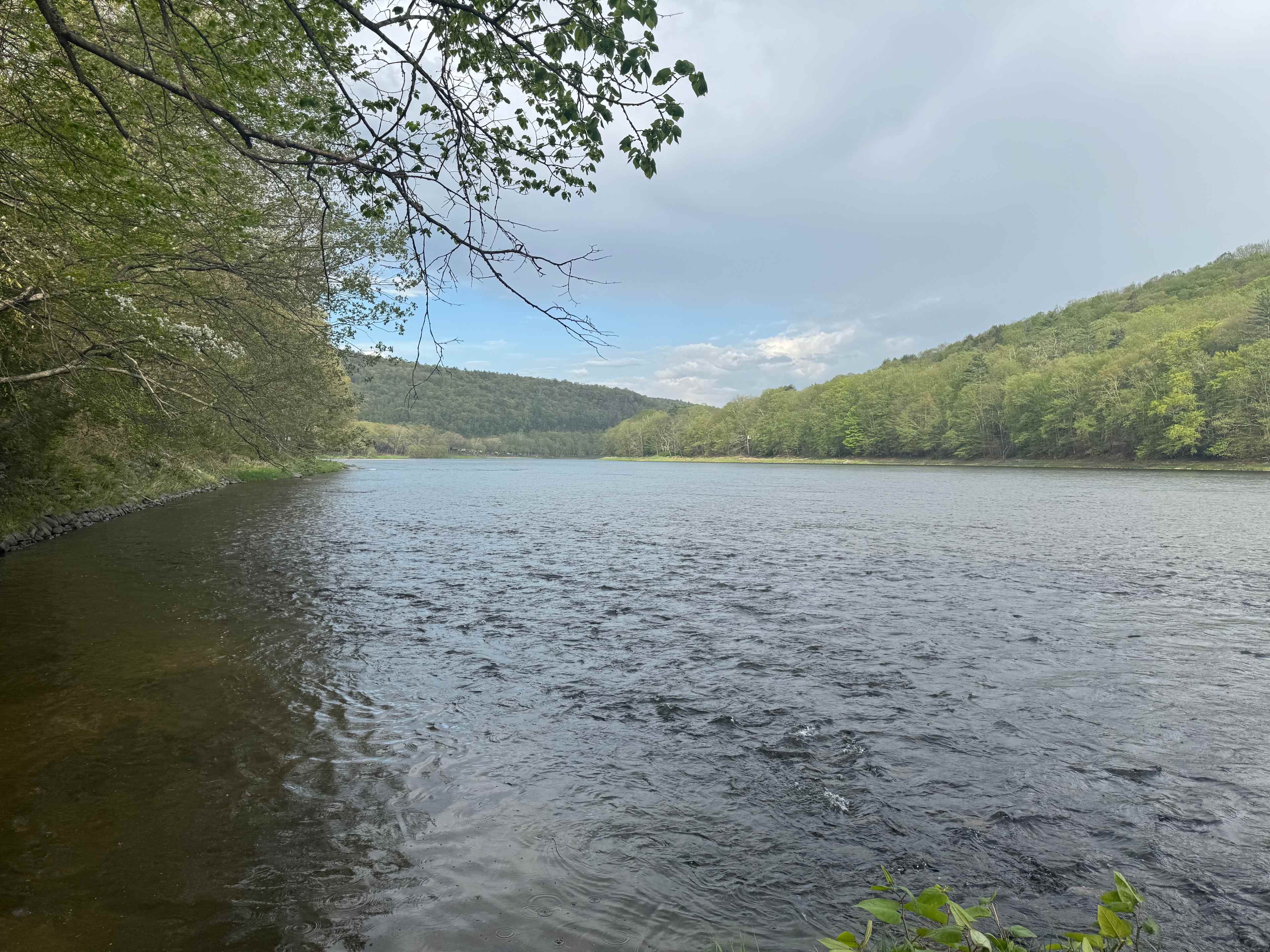 The River's Edge