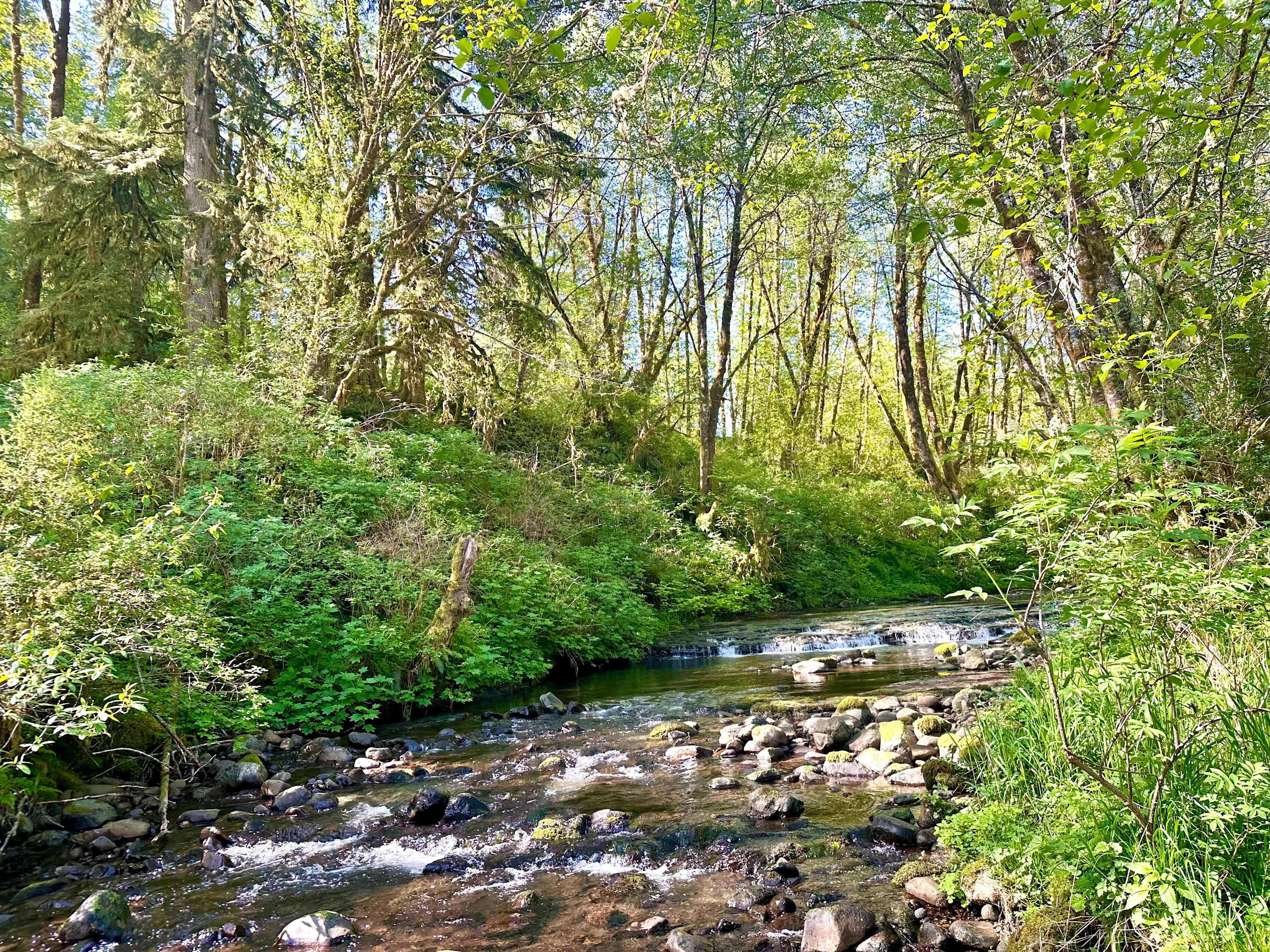 Powder Creek Campground