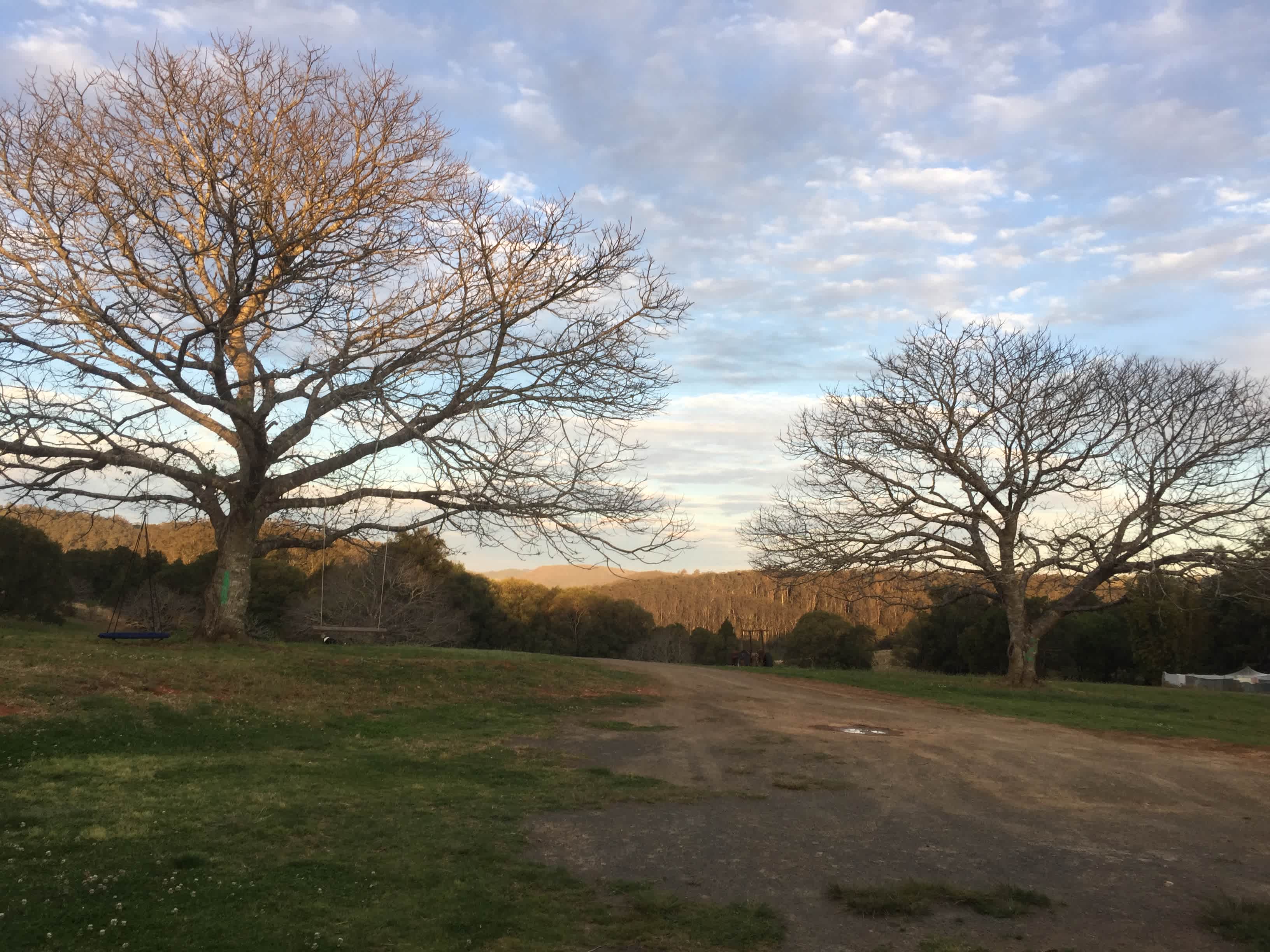 Happy Days Elands