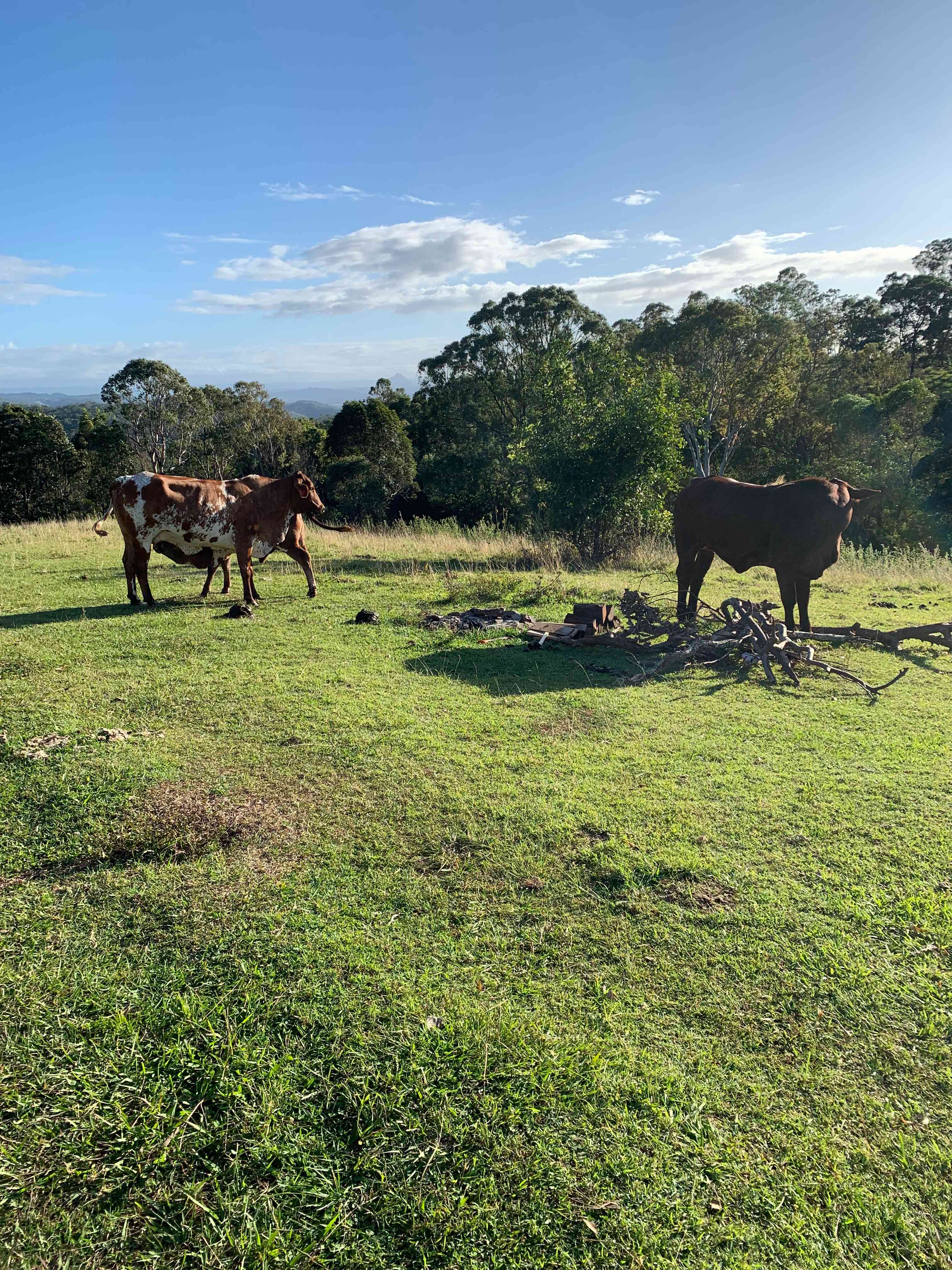 Rangetop Farm
