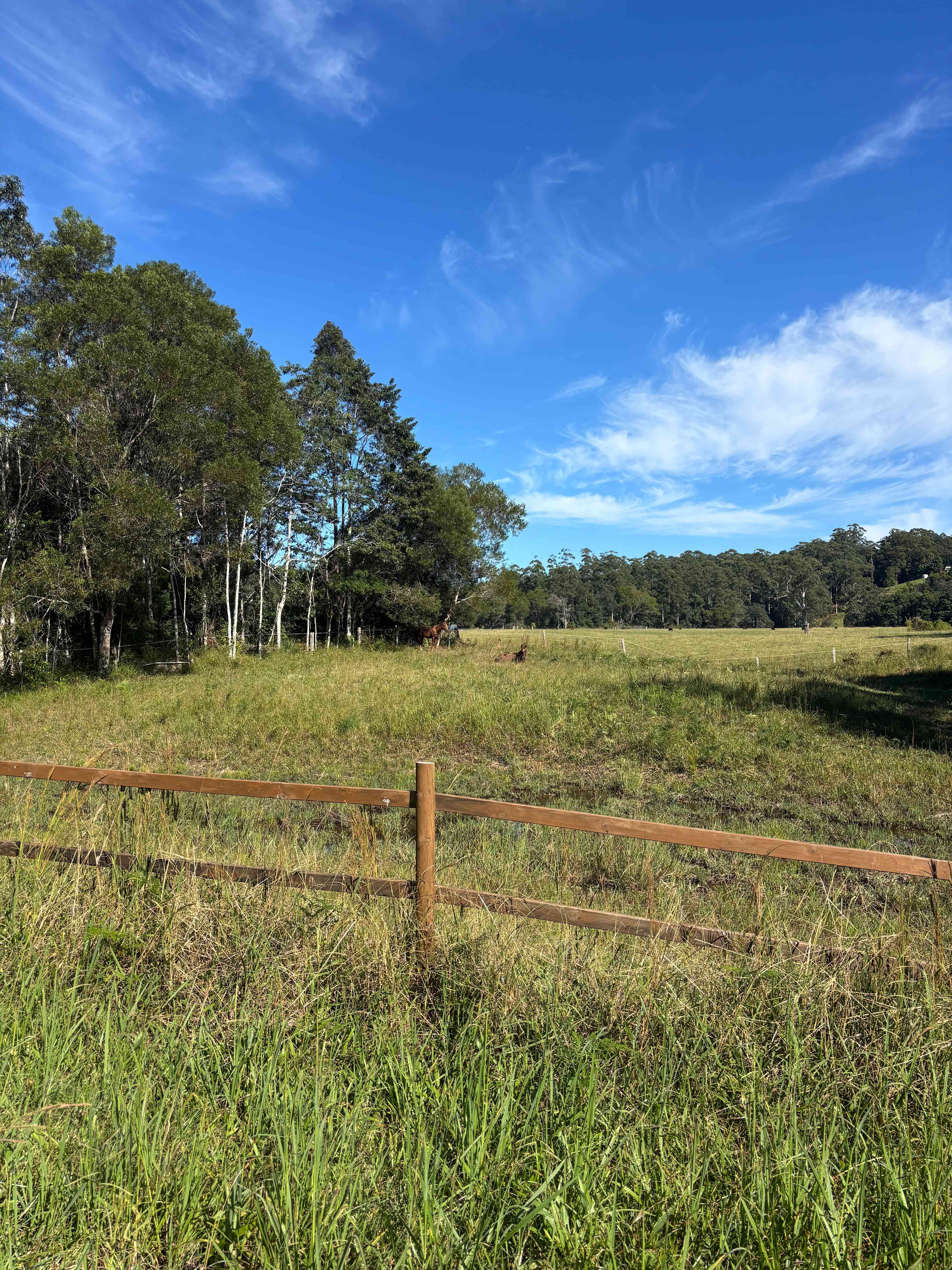 Little Pine Creek Farm Valery