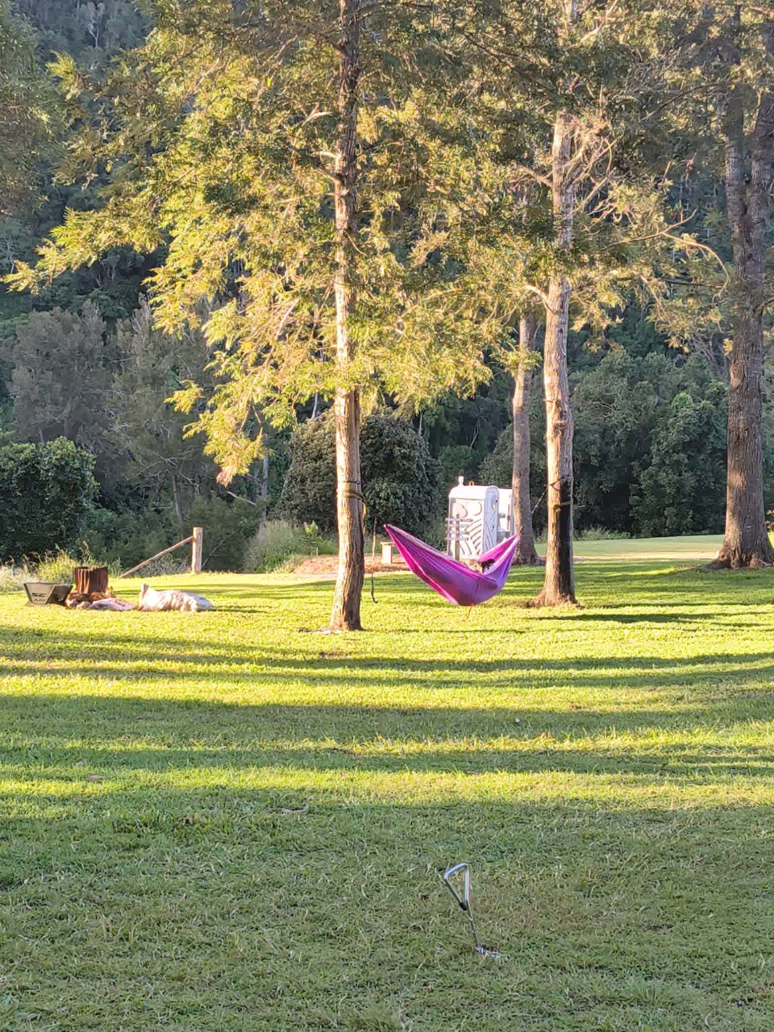Silky Oaks Campground 