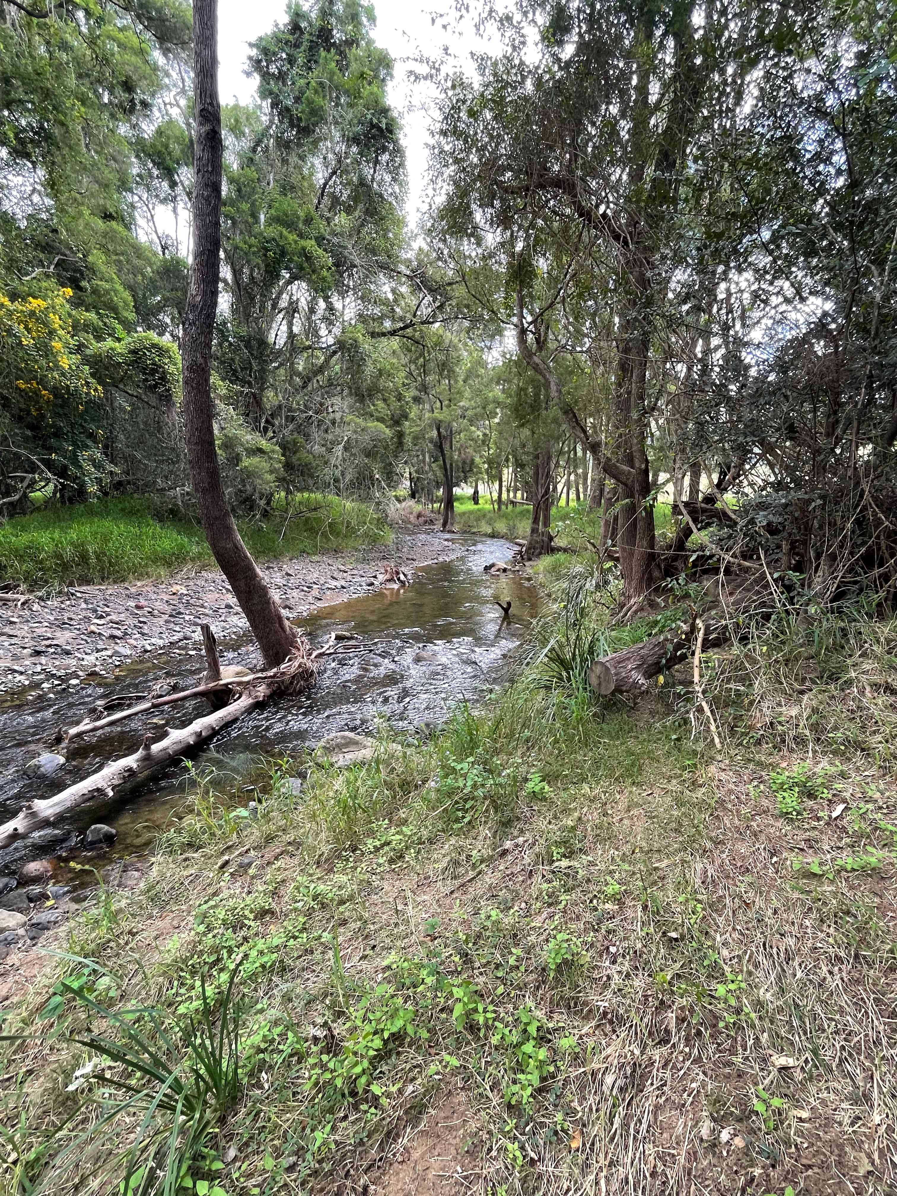Bindarah Downs