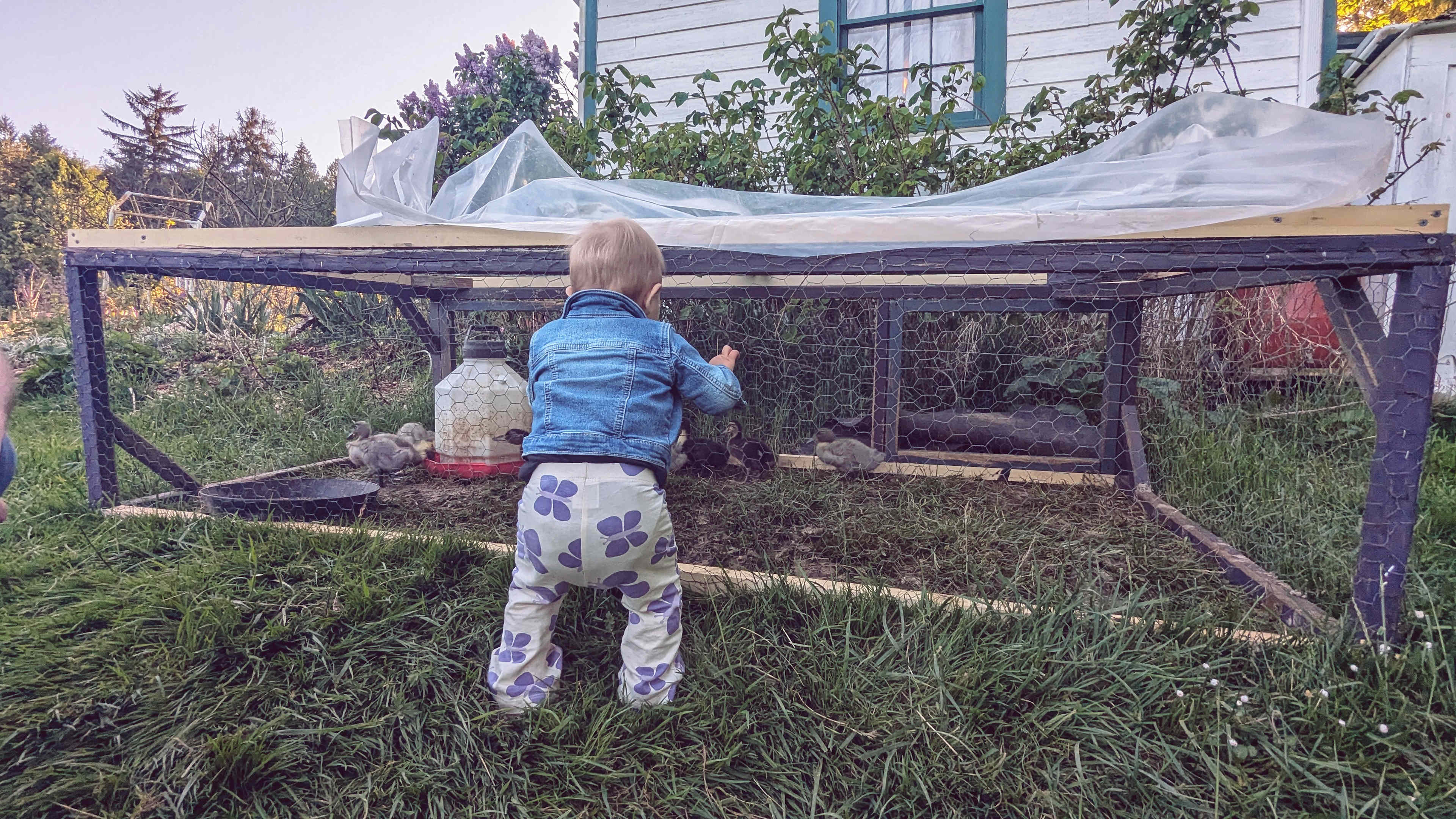 Compass Rose Farms
