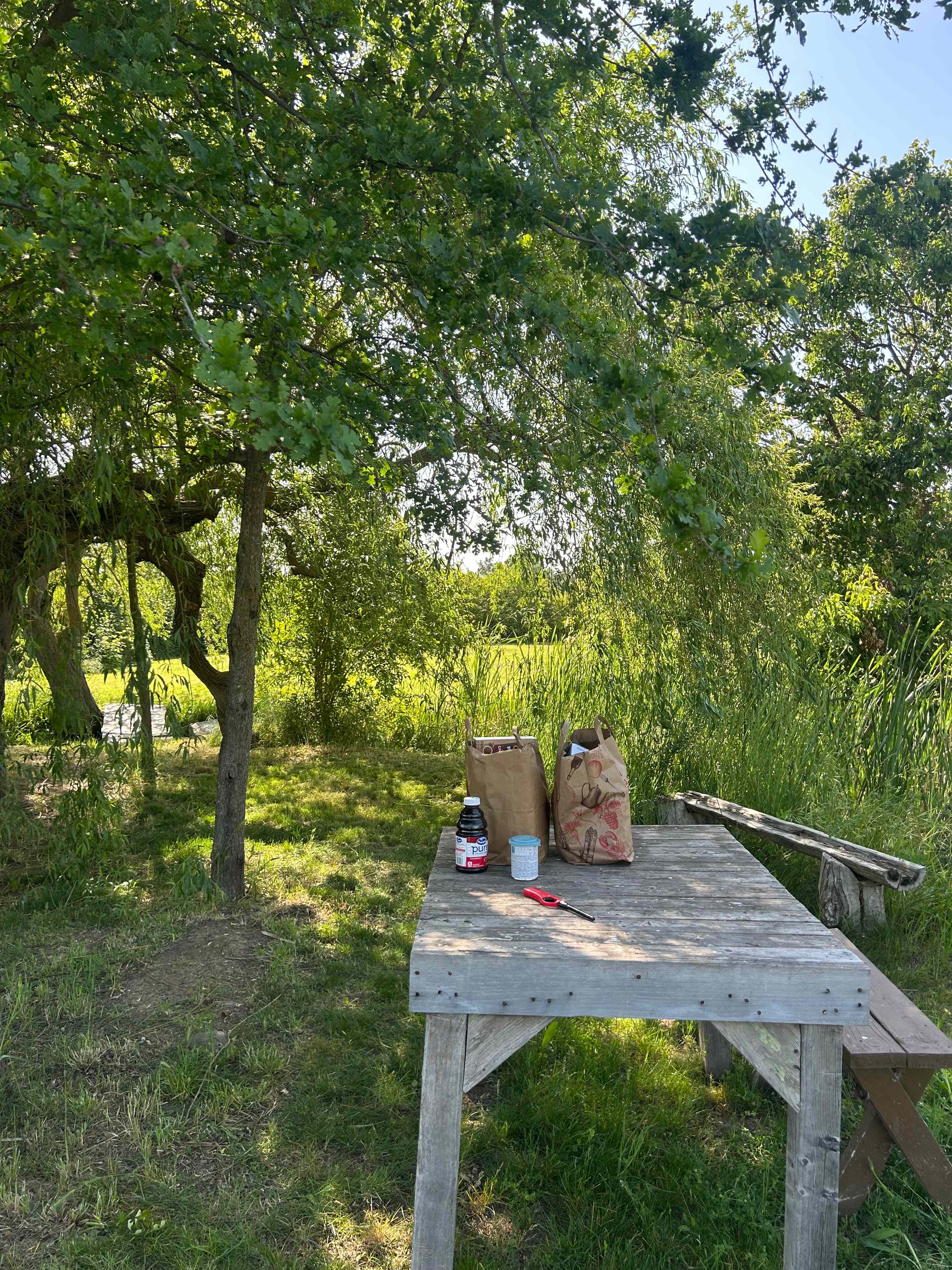 The Foxes  Family Farm
