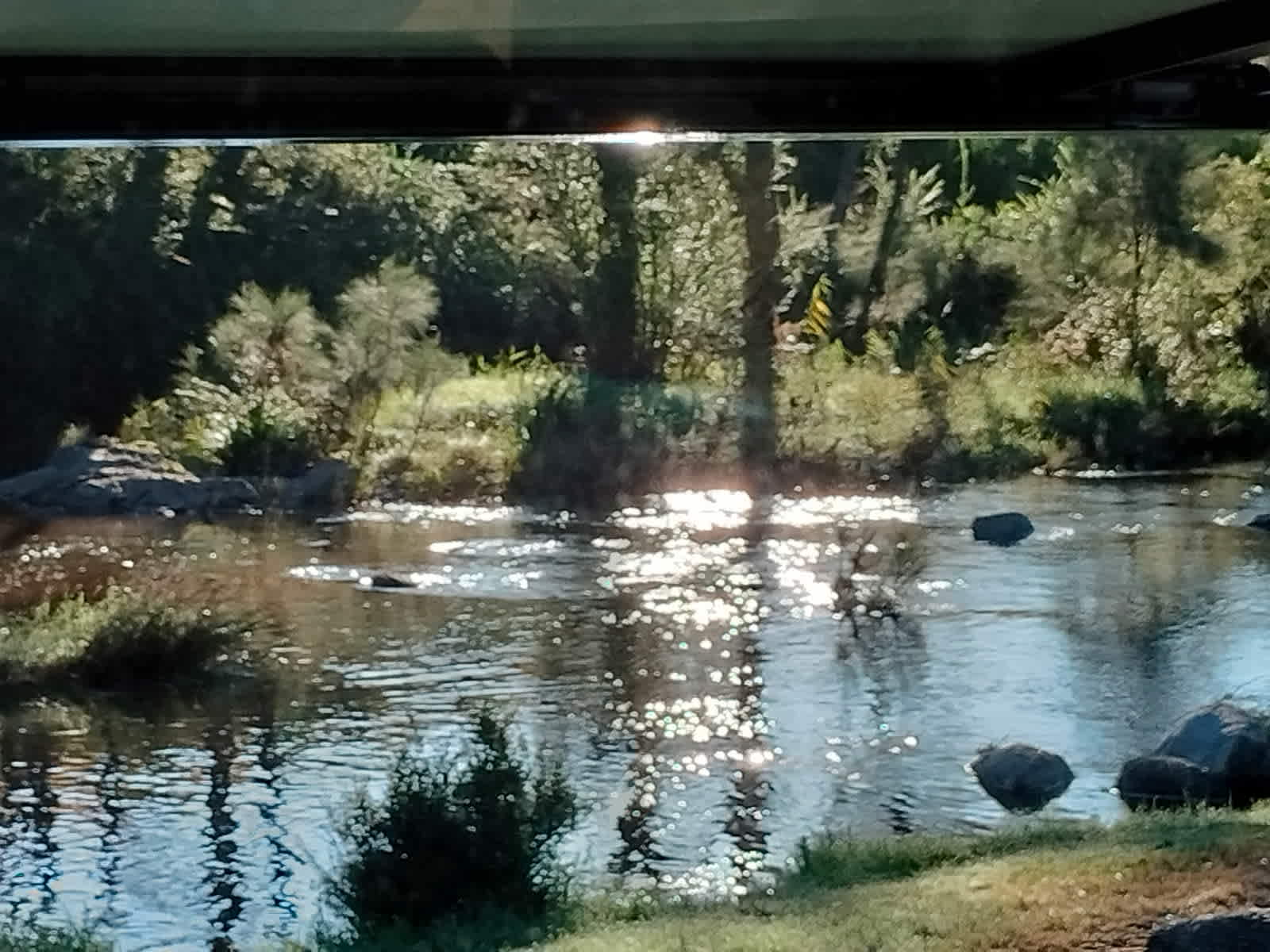 Sparkling River