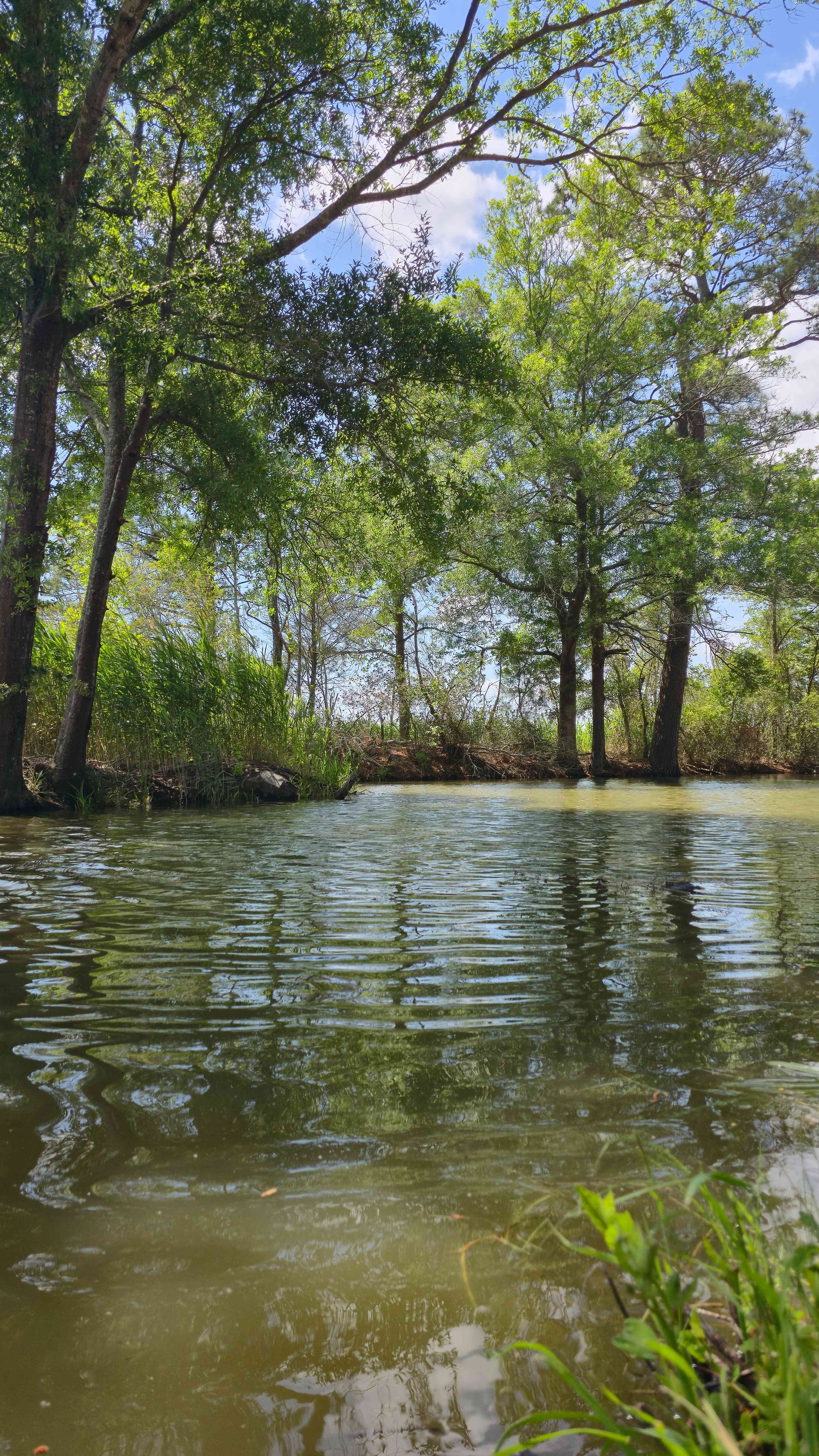 MARSH DUCK WAY