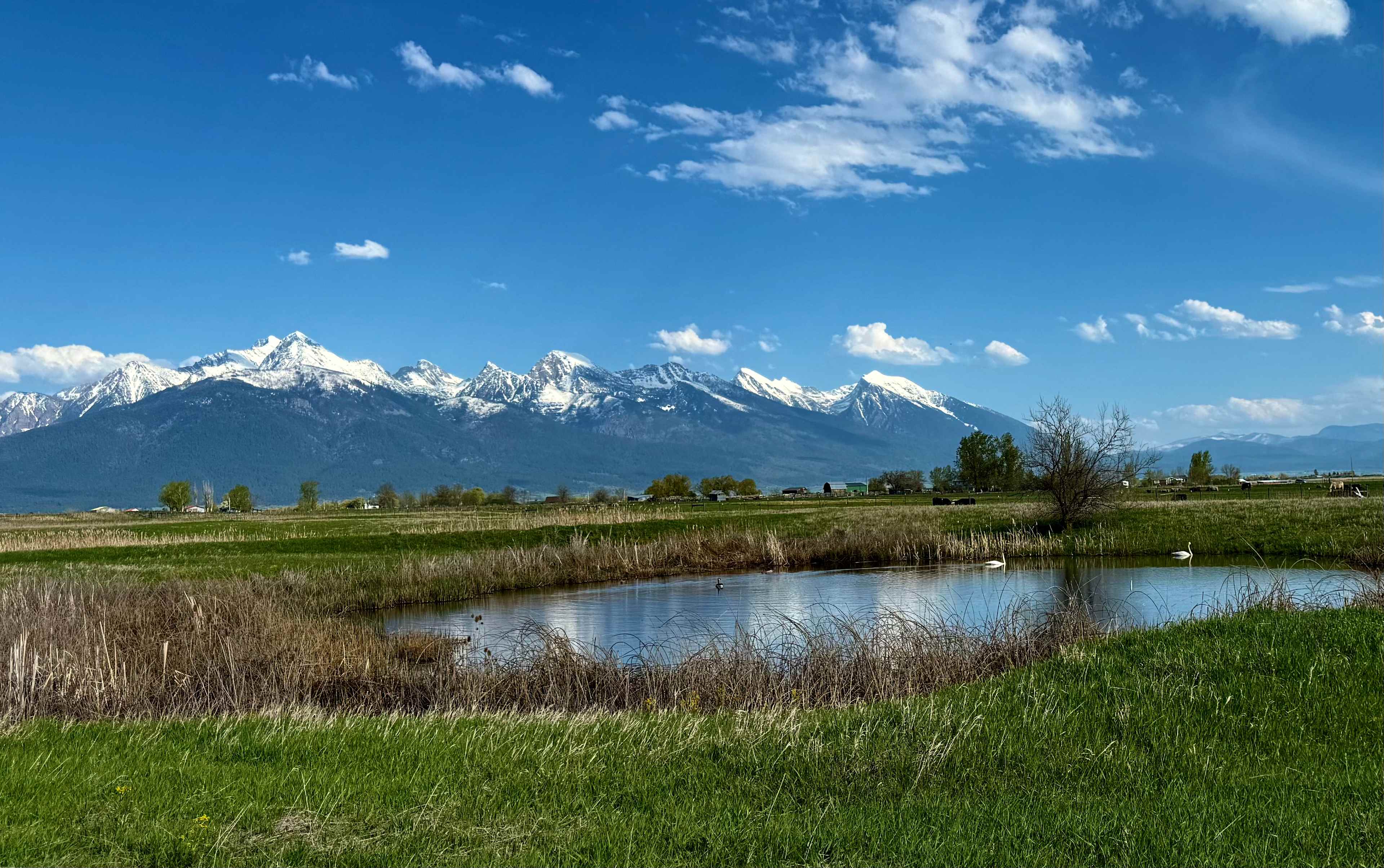 Peaceful Mission Mountain Paradise