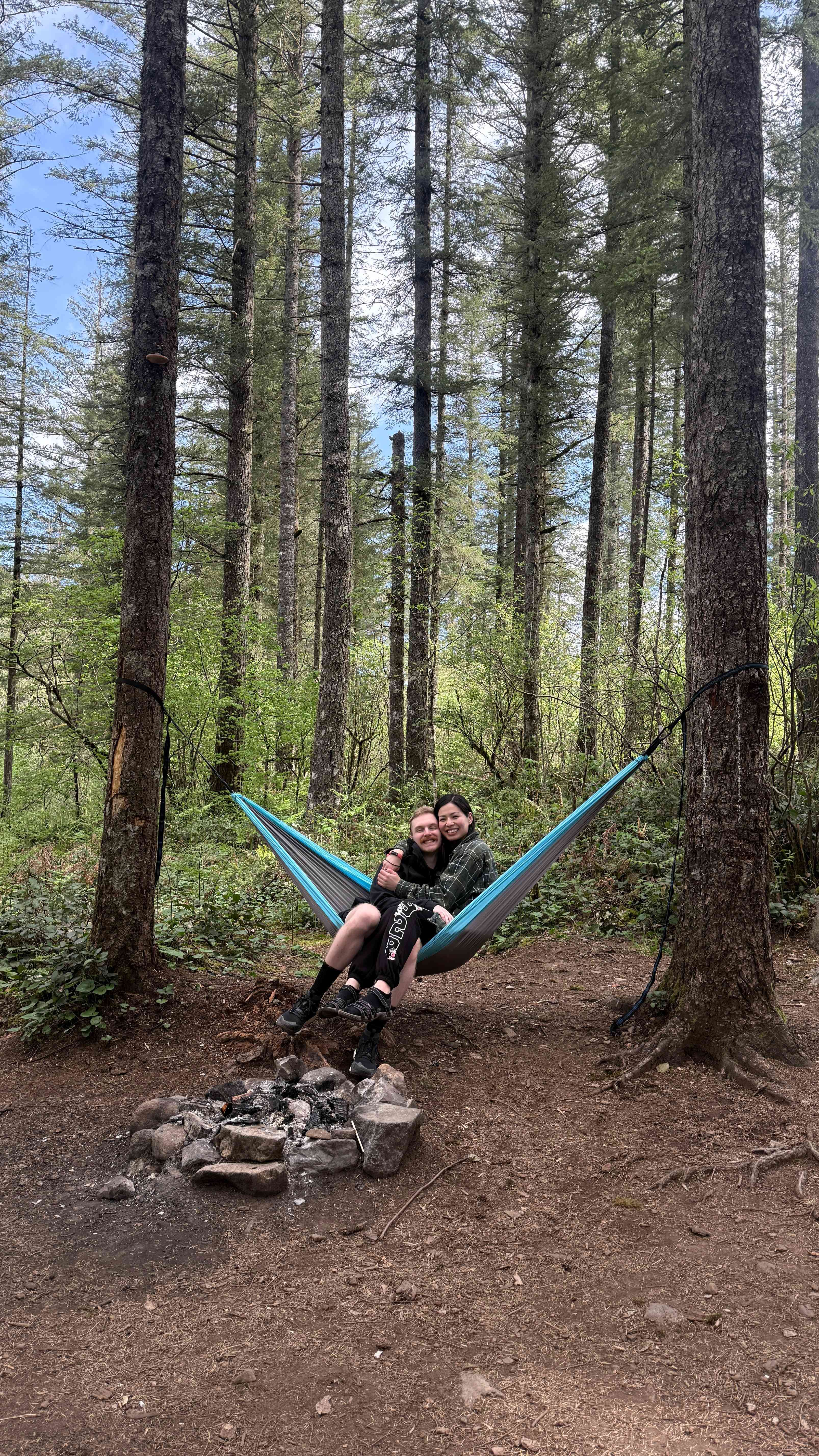 Lots of trees to hammock on the site 