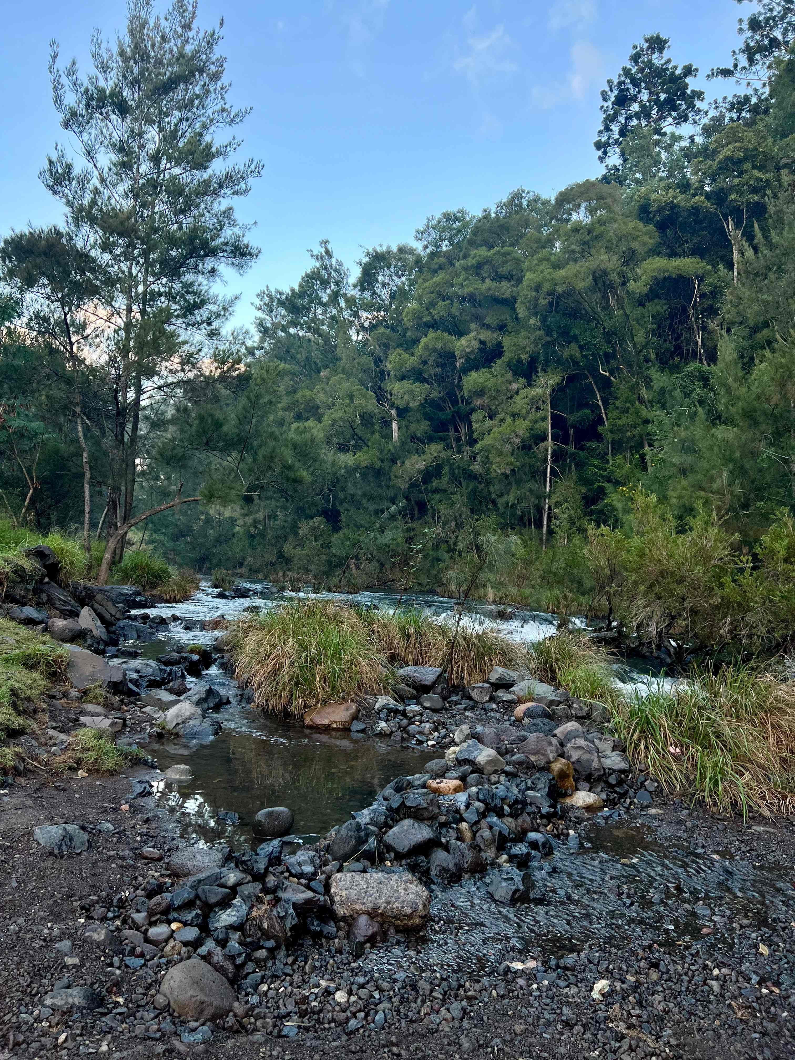 The creek in the evening 