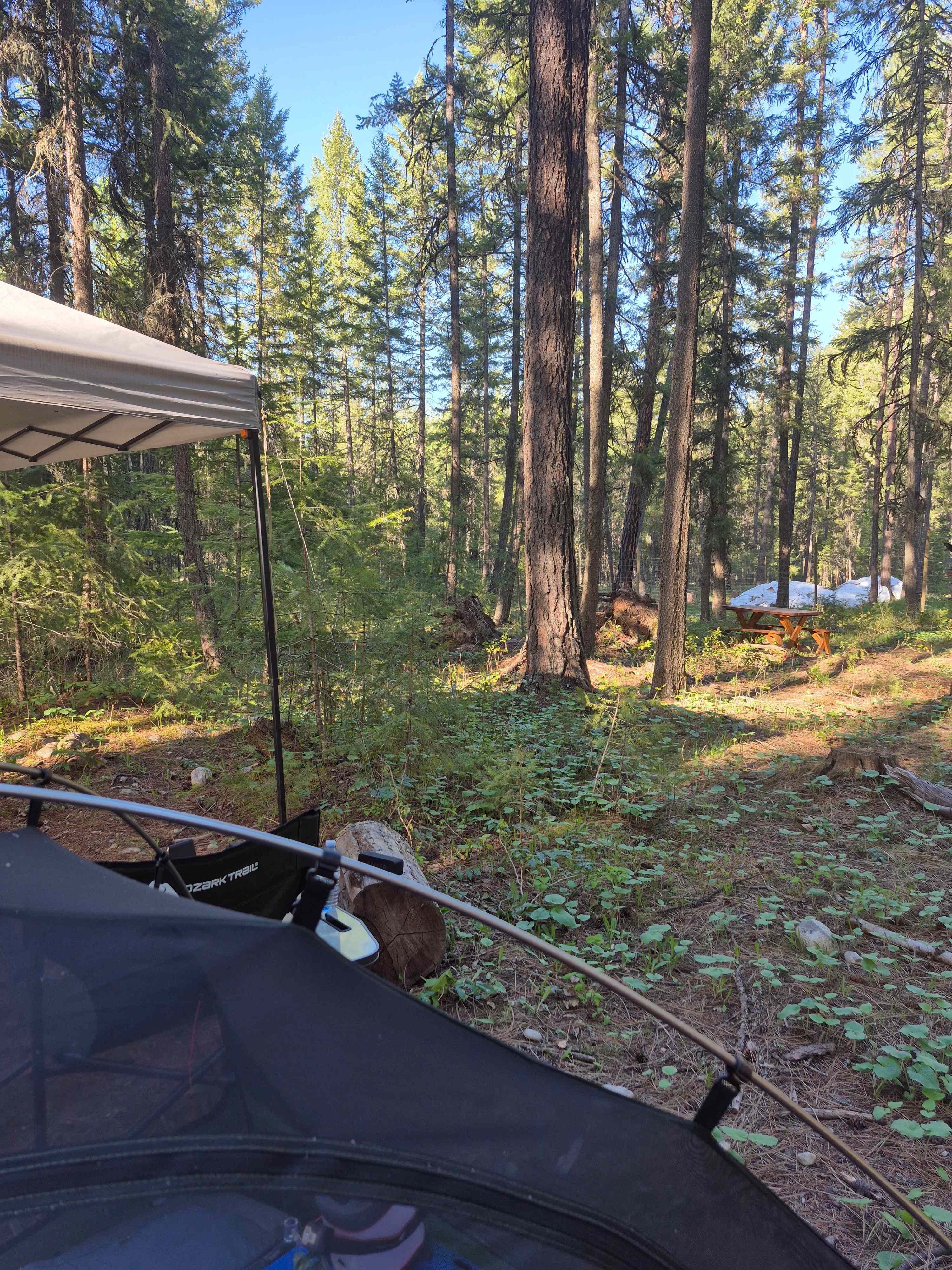 Valhalla Pines Campground