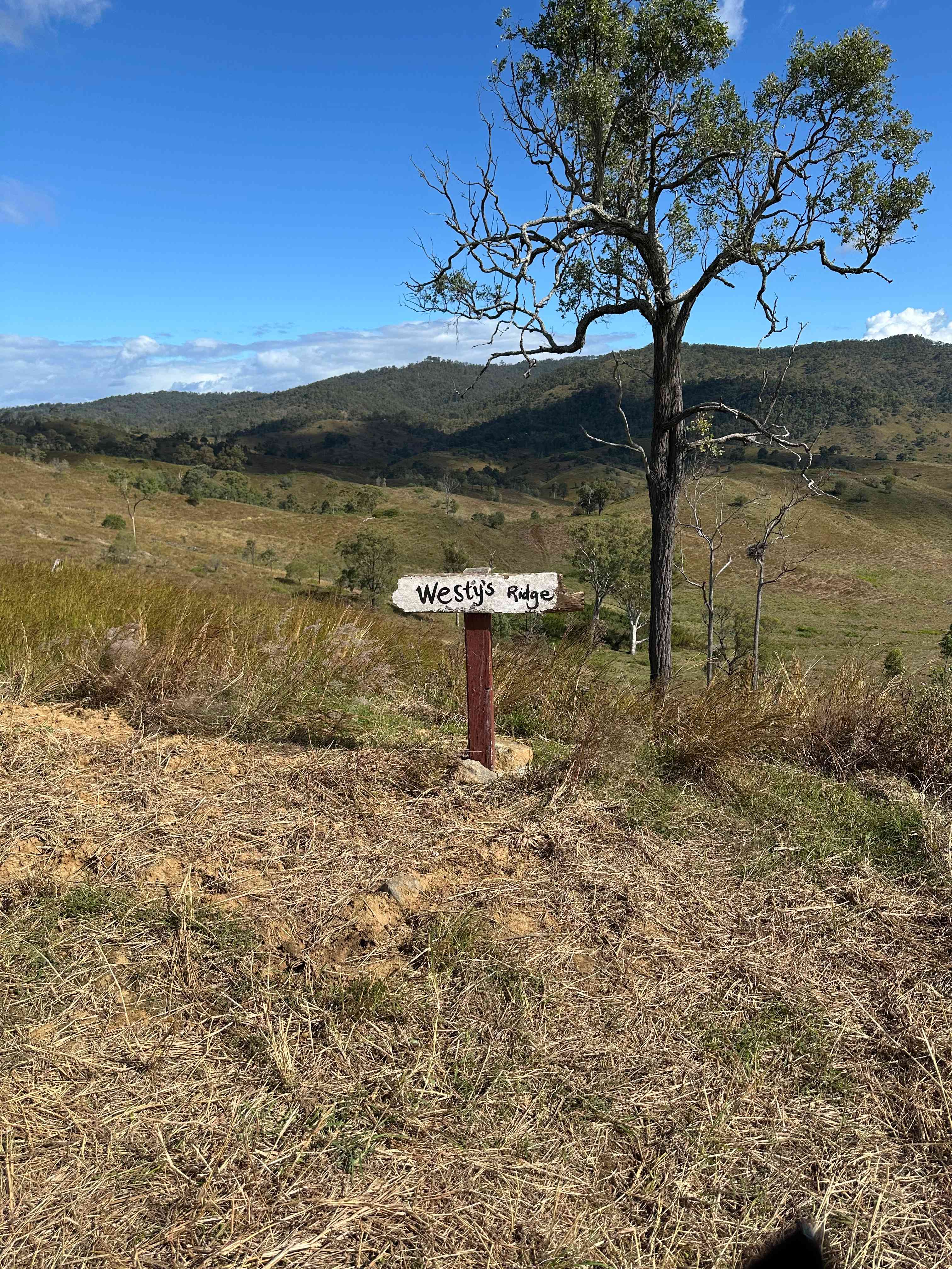 Juburra Country Camping