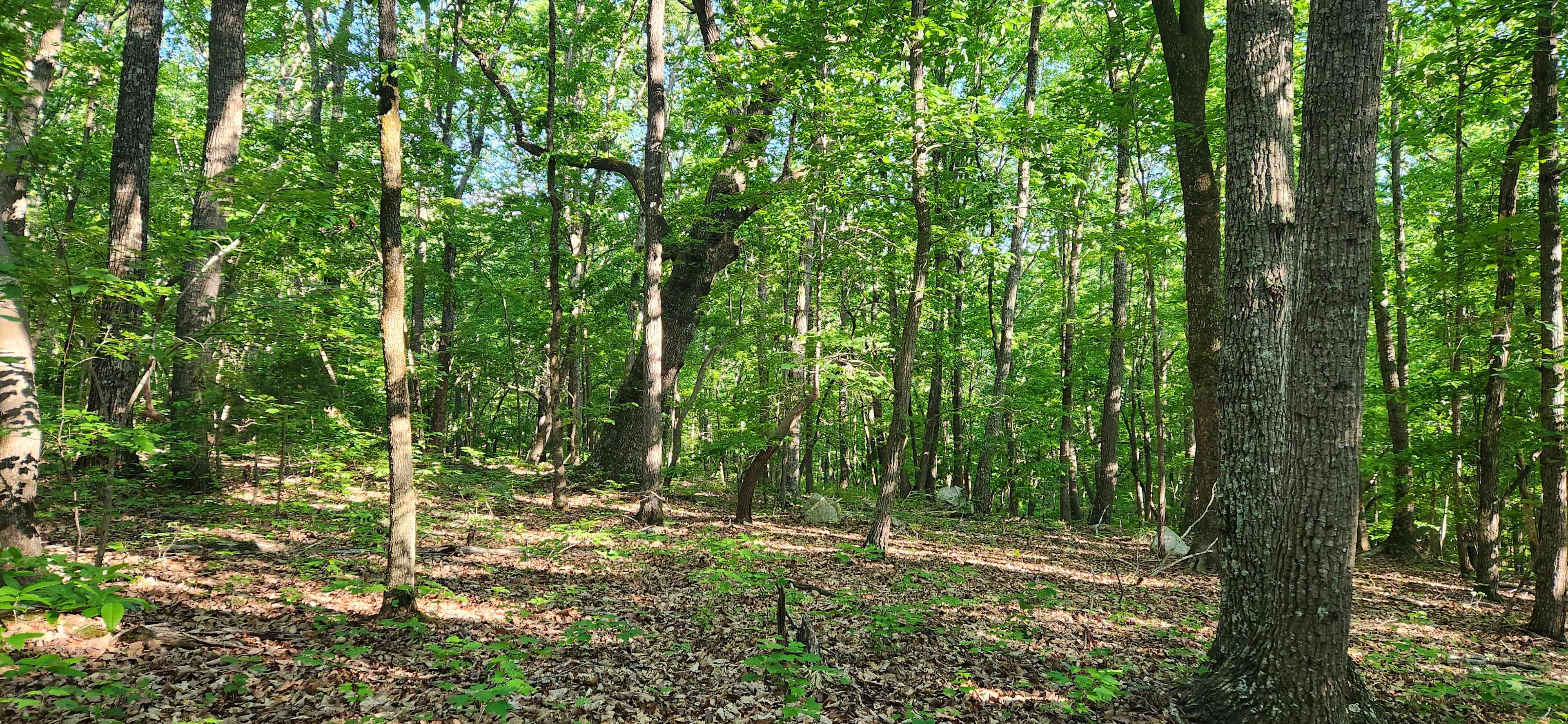 Parkers' Glen