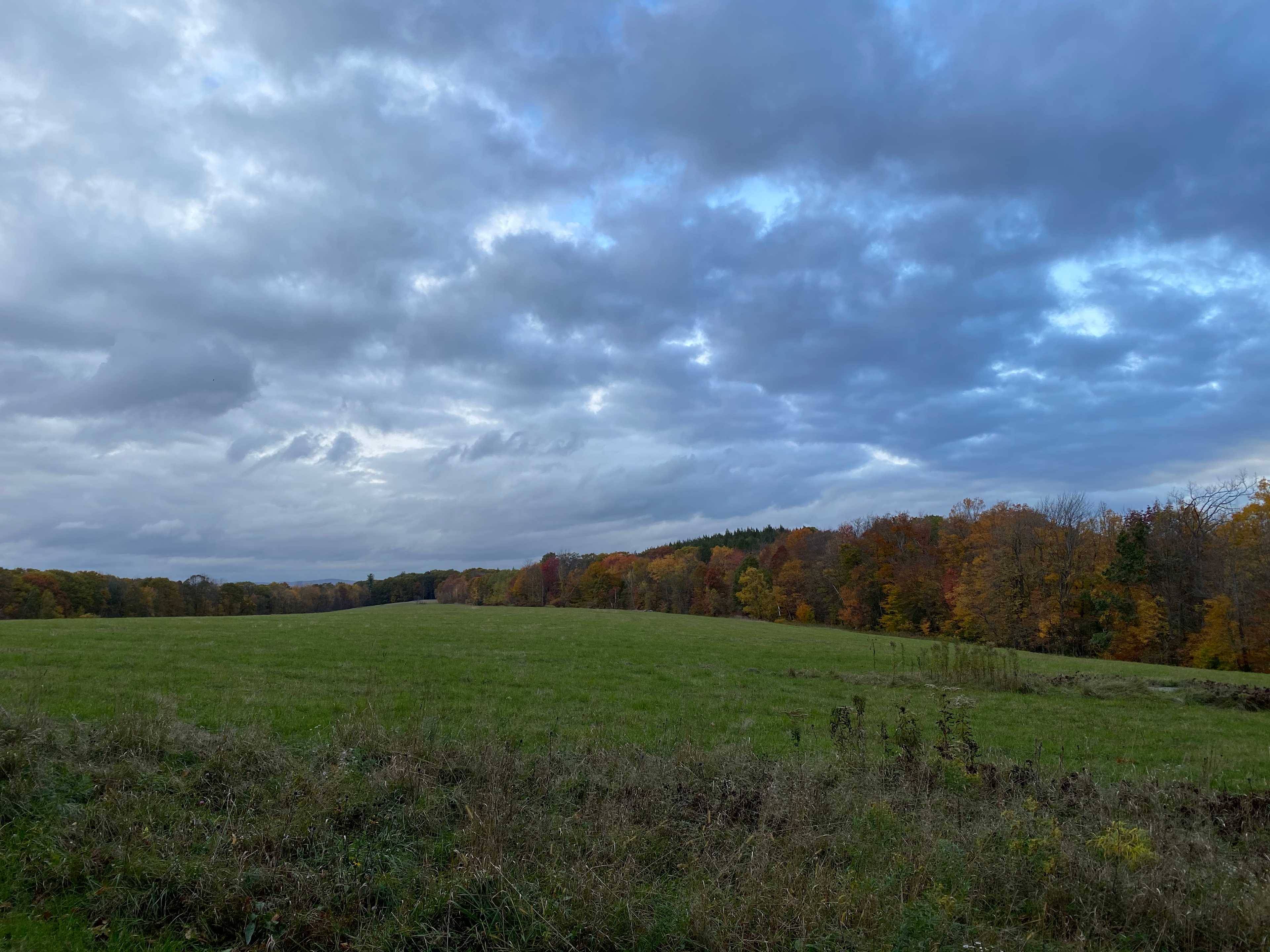 Goss Hill Campsite