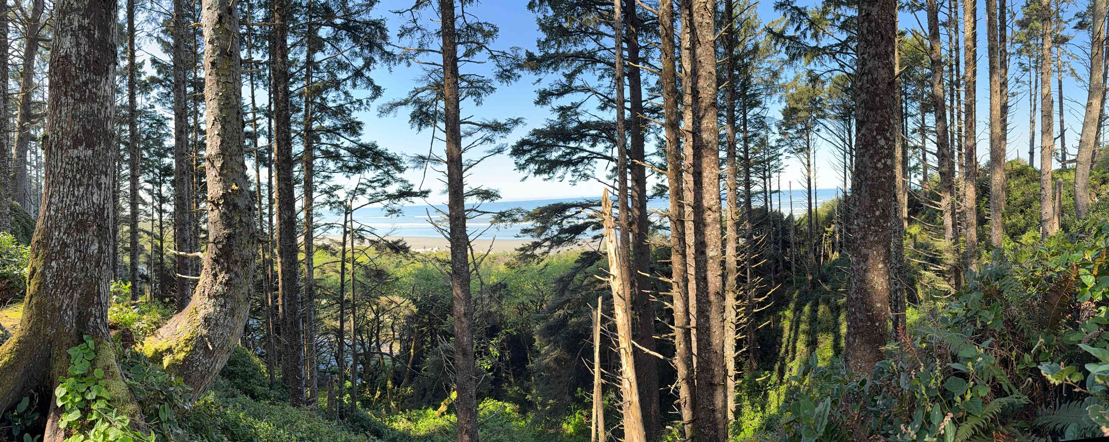 Wild WA Coast Lookout ($75 - $125)