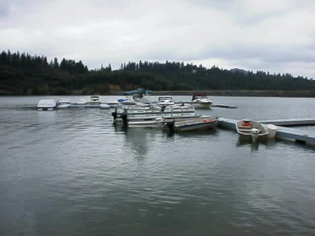 Orchard Springs Resort
