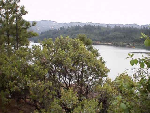 Orchard Springs Resort
