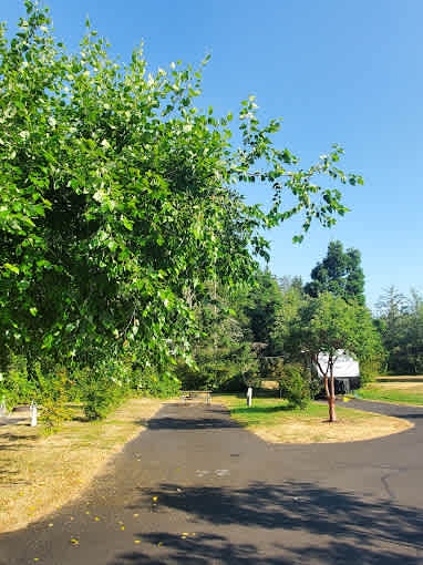Barton Park