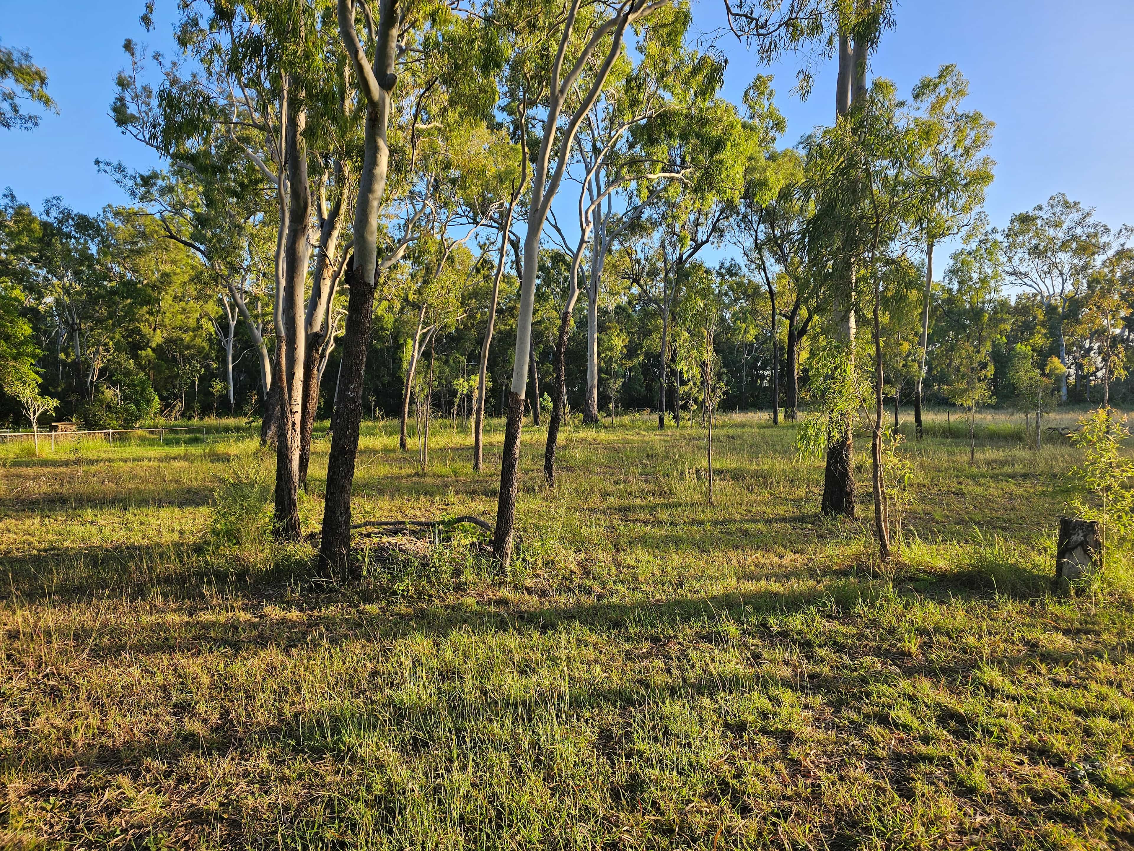 Kooyalee Campsite