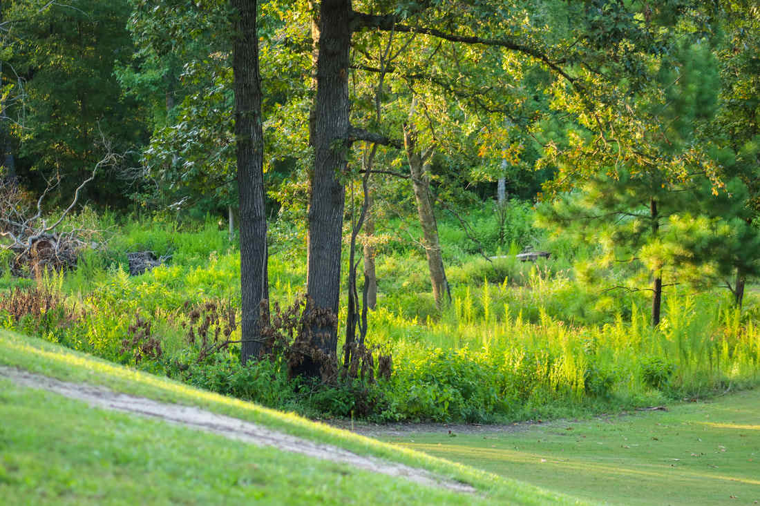 Fairway RV Park