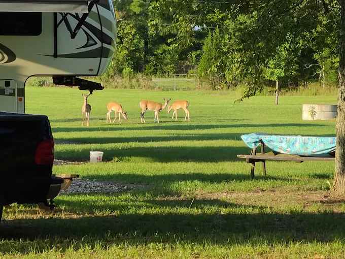 Lake Athens Marina and RV Park