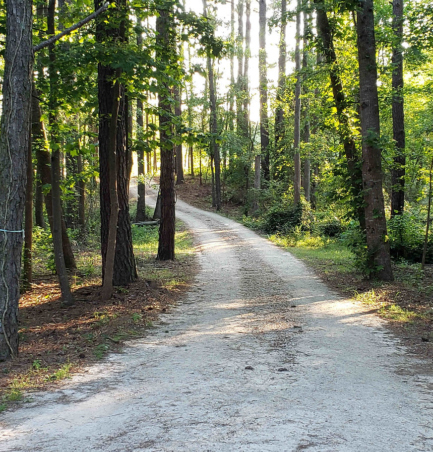 Joes rv park and campground