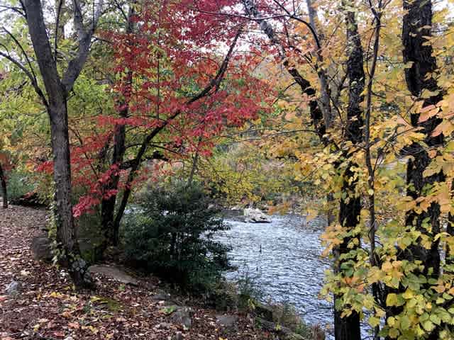 Tuckaseegee RV Resort