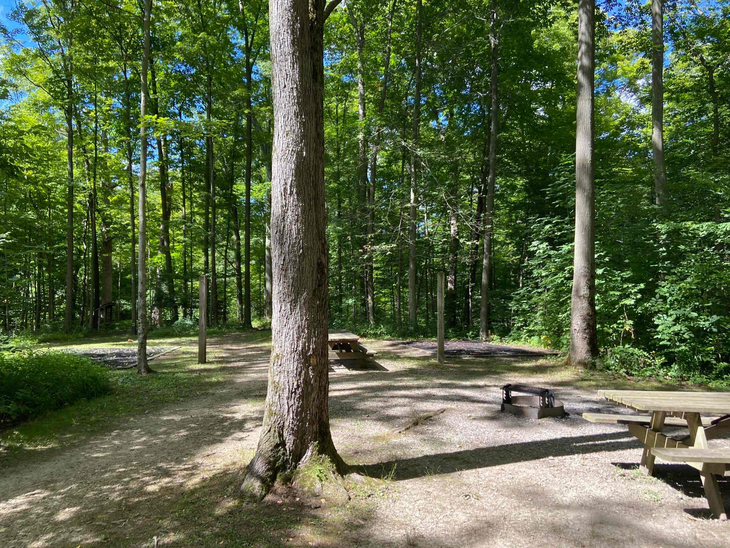 Big Creek Park