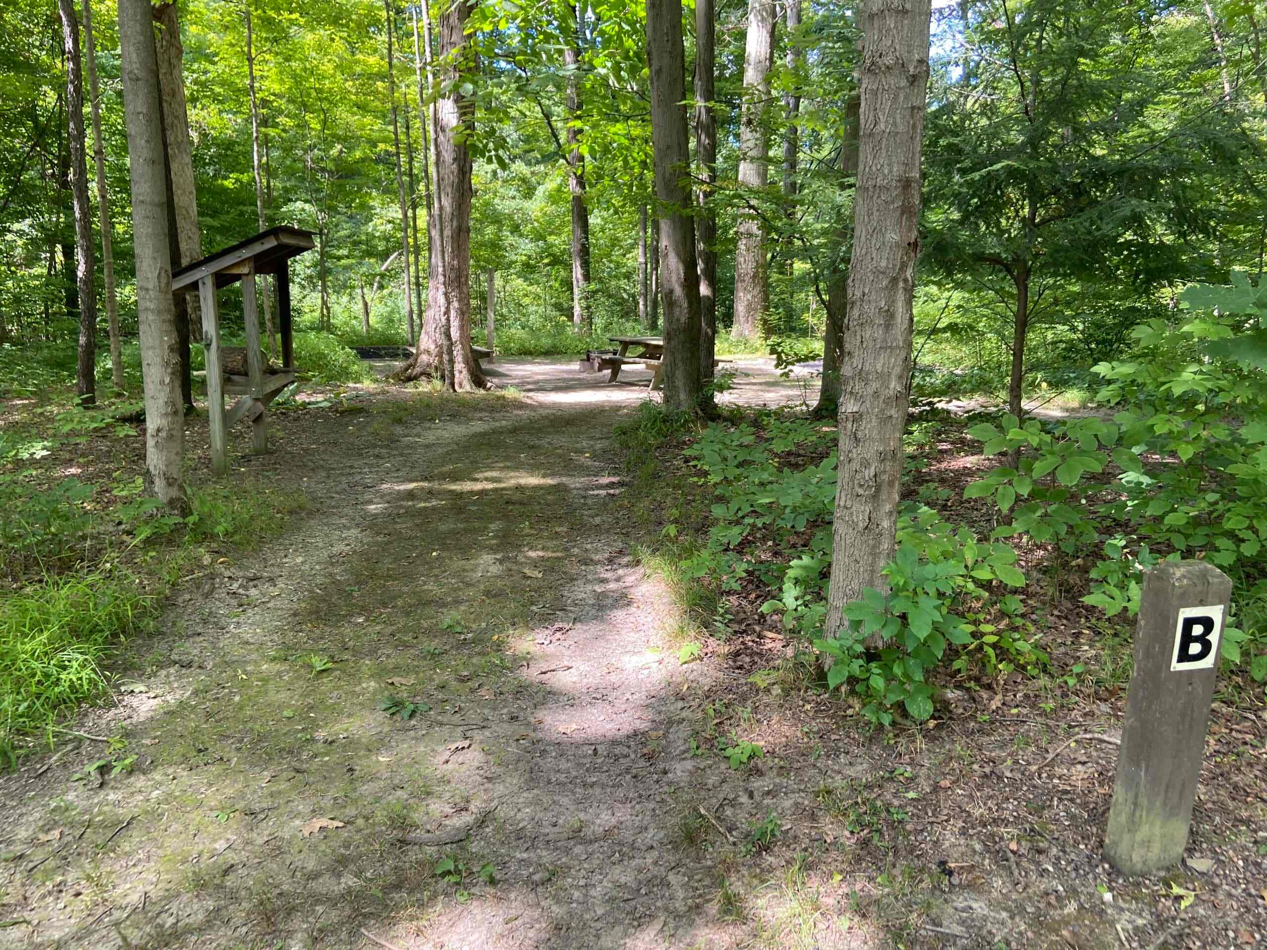 Big Creek Park