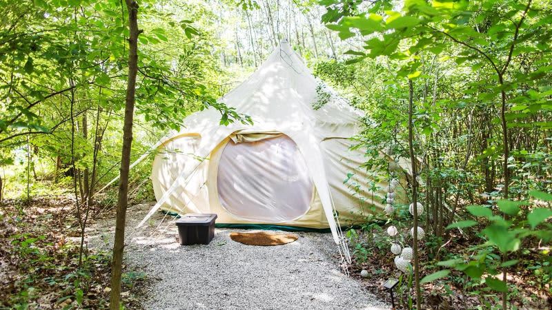 The Eco Camp
