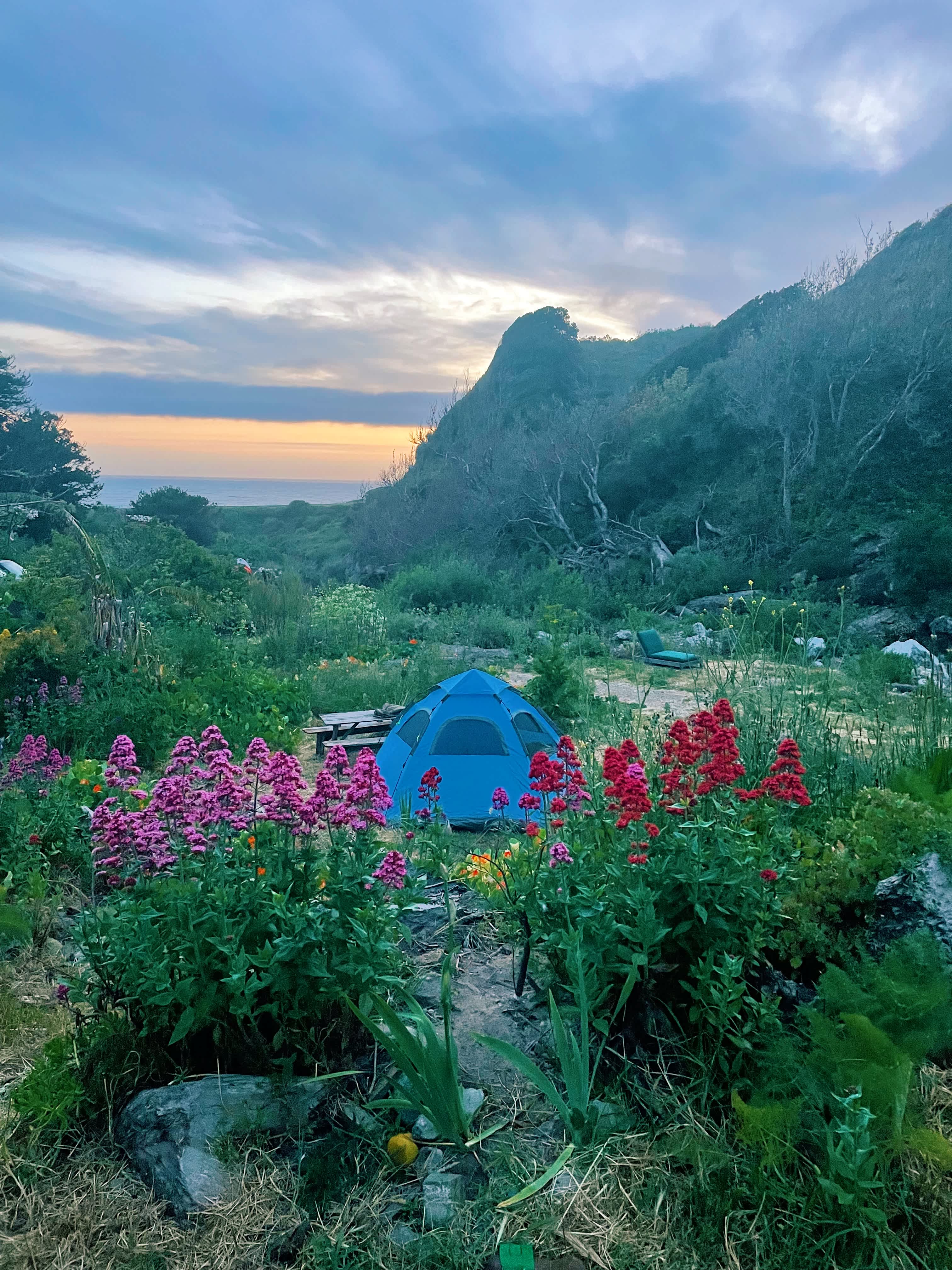 dabudage Big Sur