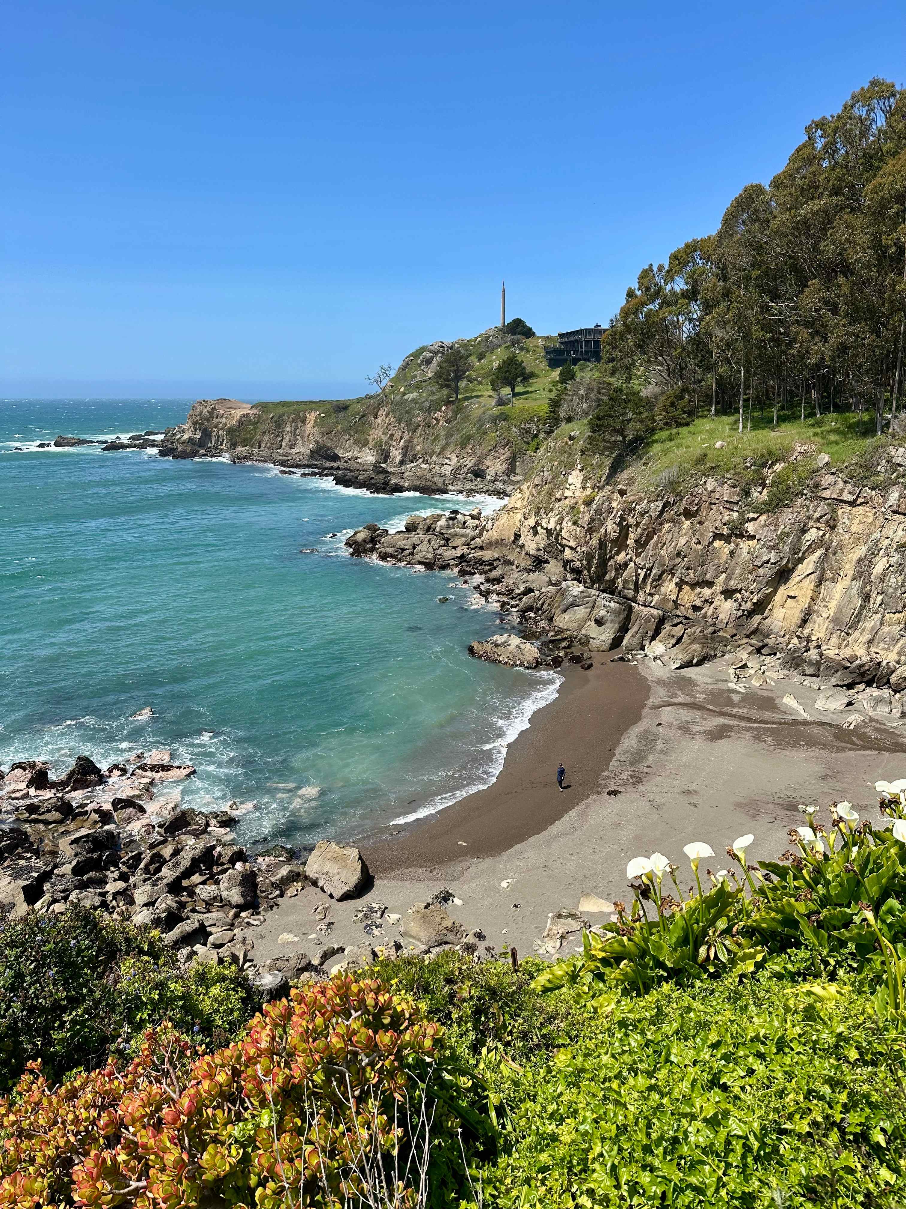 Timber Cove Campground