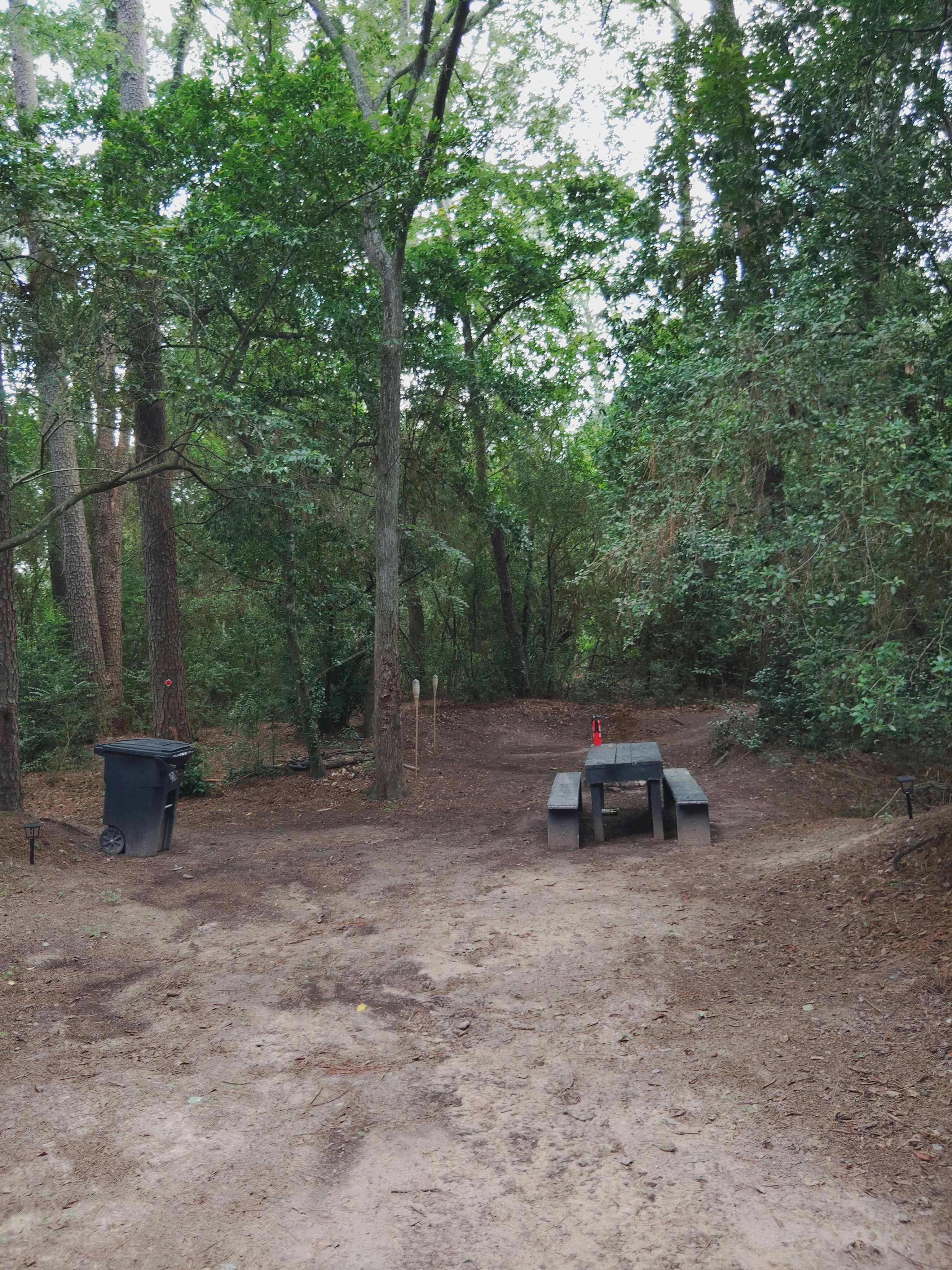 A spacious clearing with room to set up a tent or park a vehicle, offering flexibility for different camping styles—all surrounded by peaceful woodland.