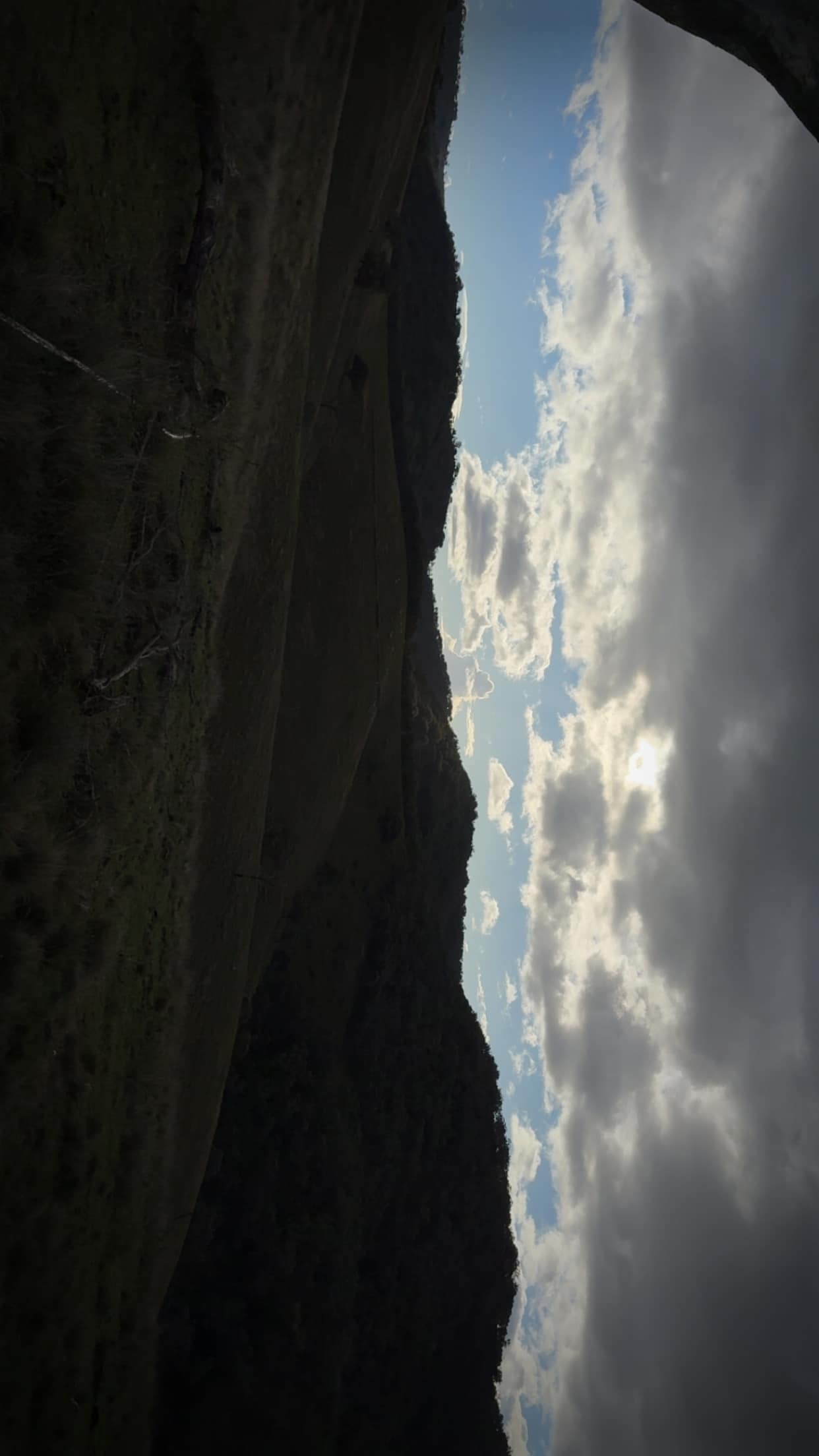 Mole River Camping 