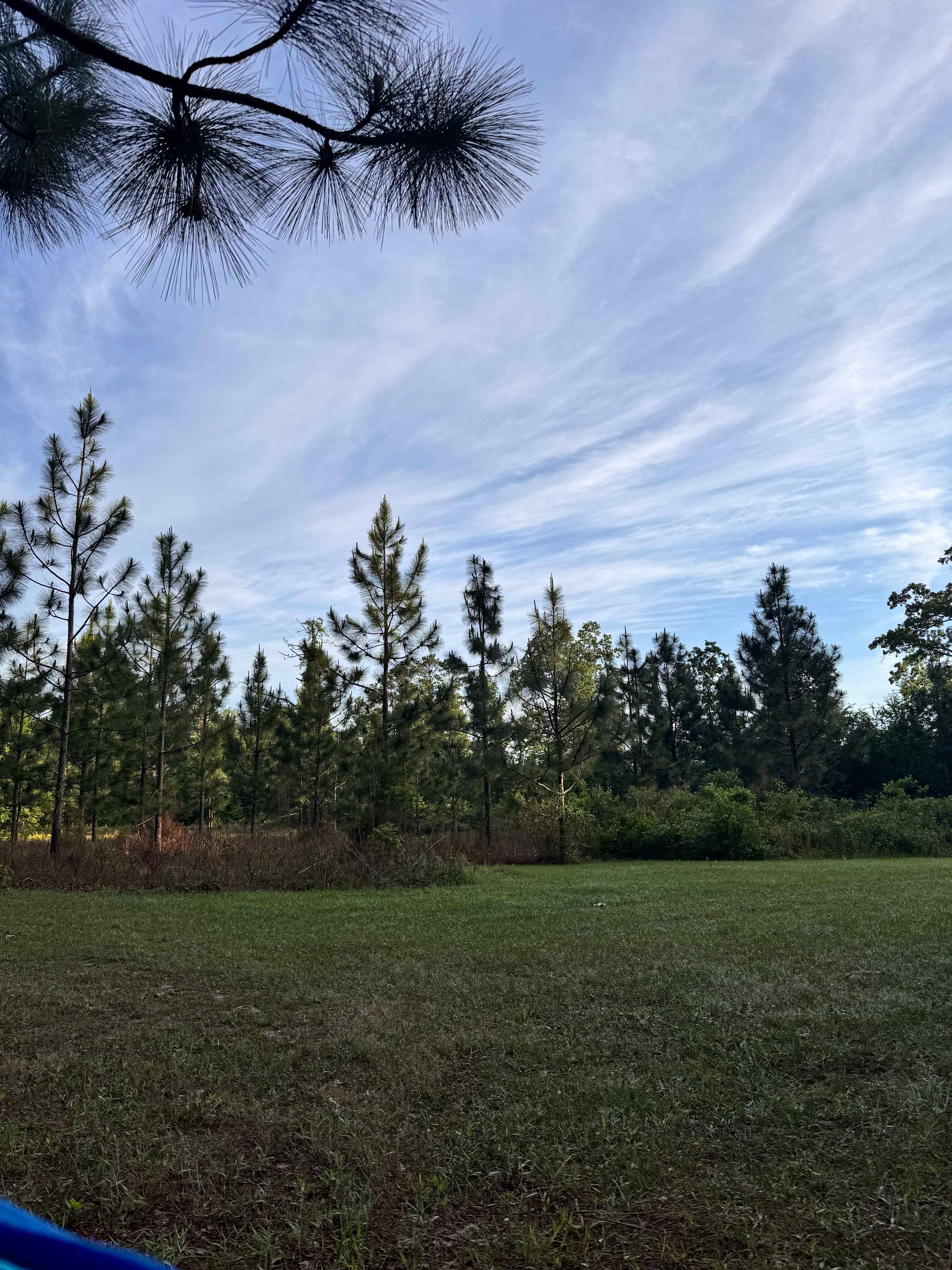 Dennis & Melissa's Hidden Creek