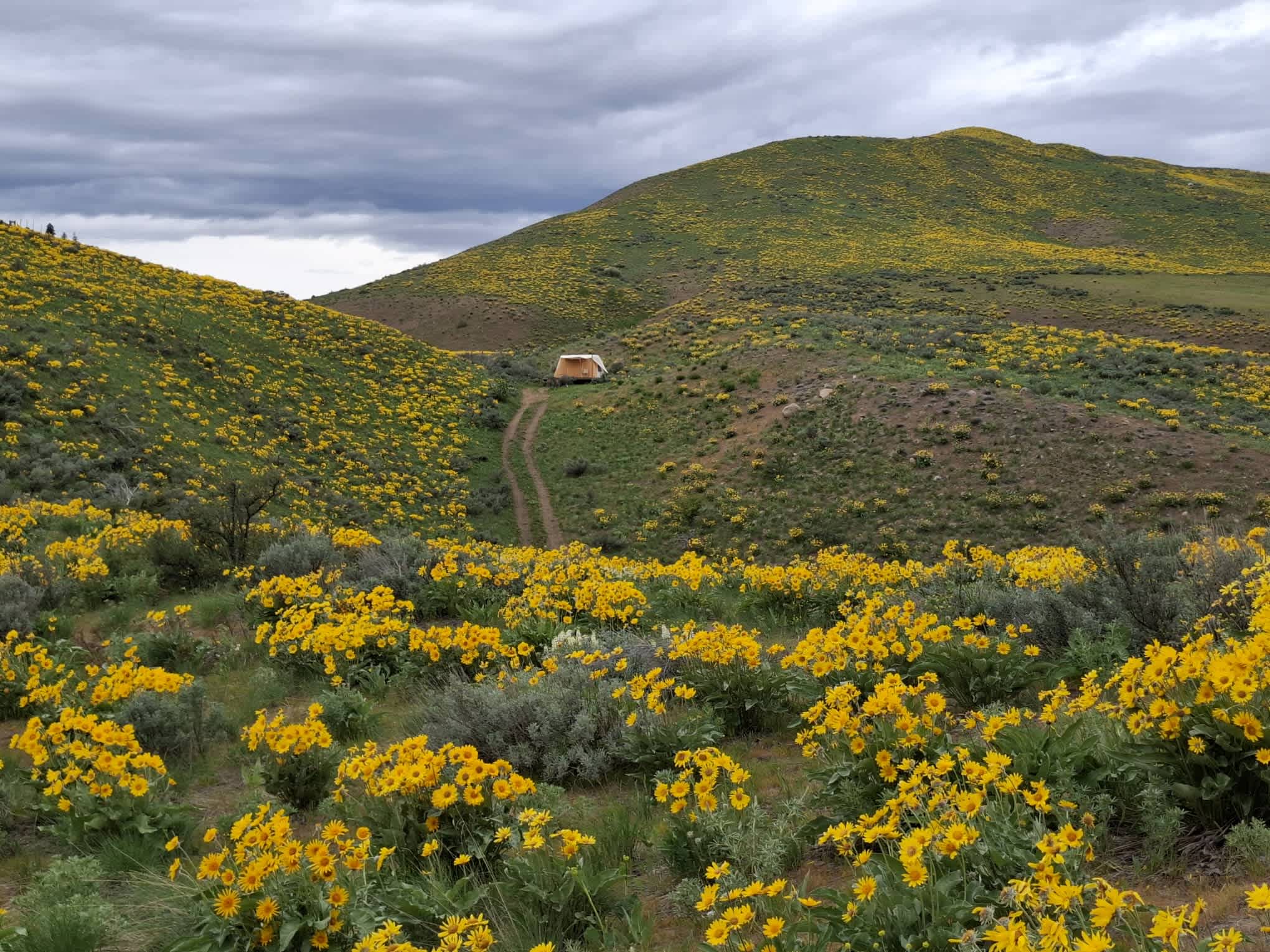 Secluded Hillside Camp