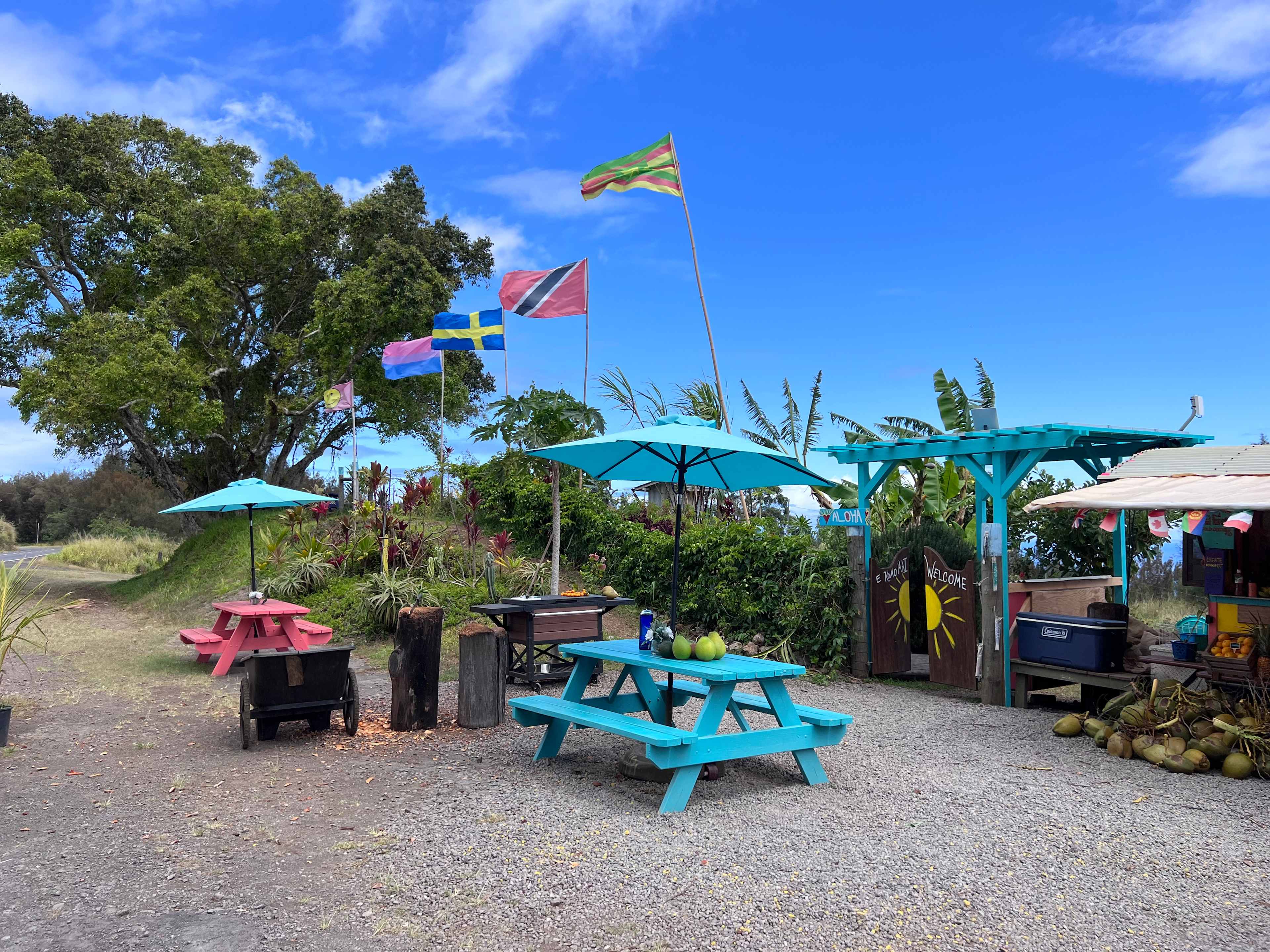 Roadside Fruit Stand Exotic Orchard