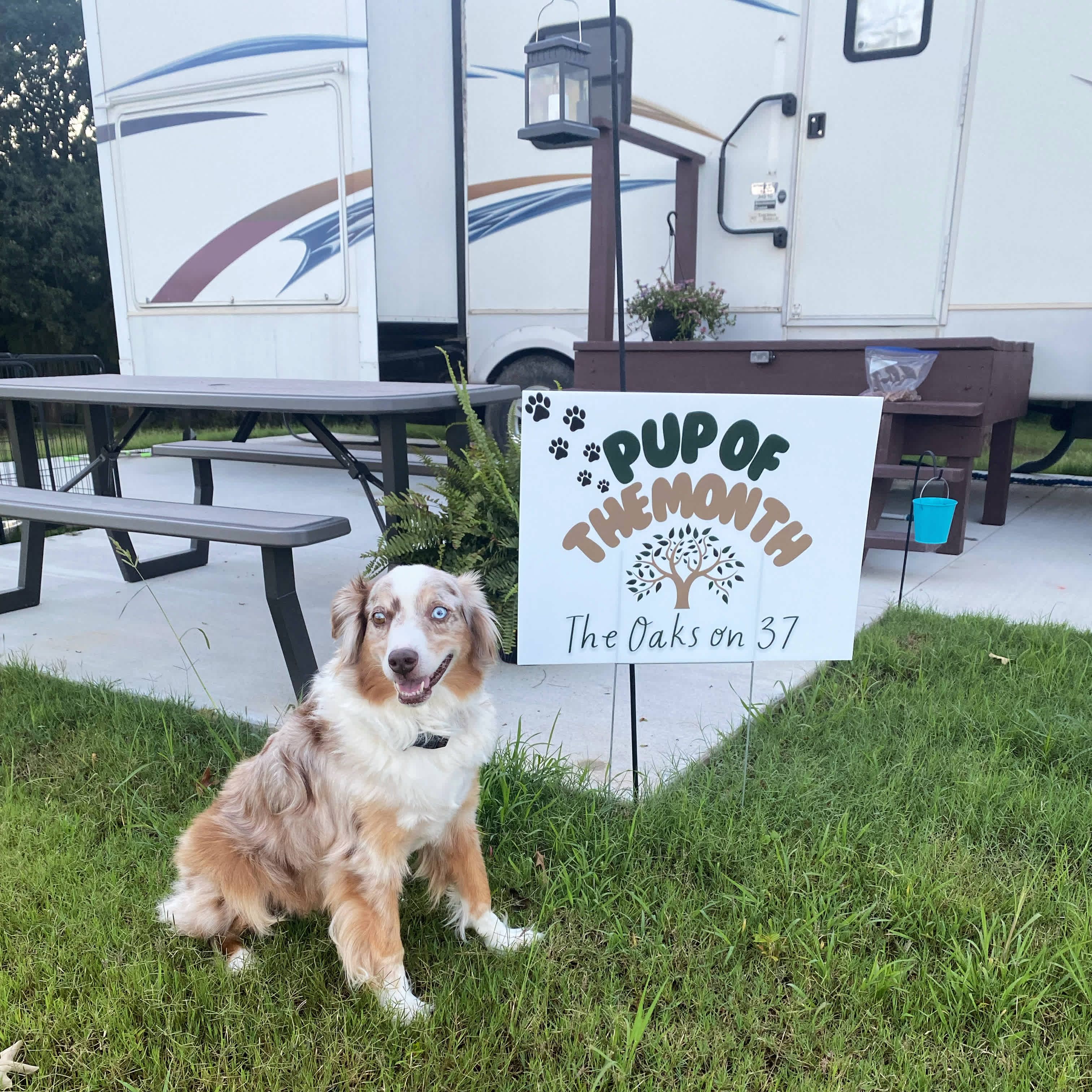 The Oaks On 37 Tiny Homes RV Resort