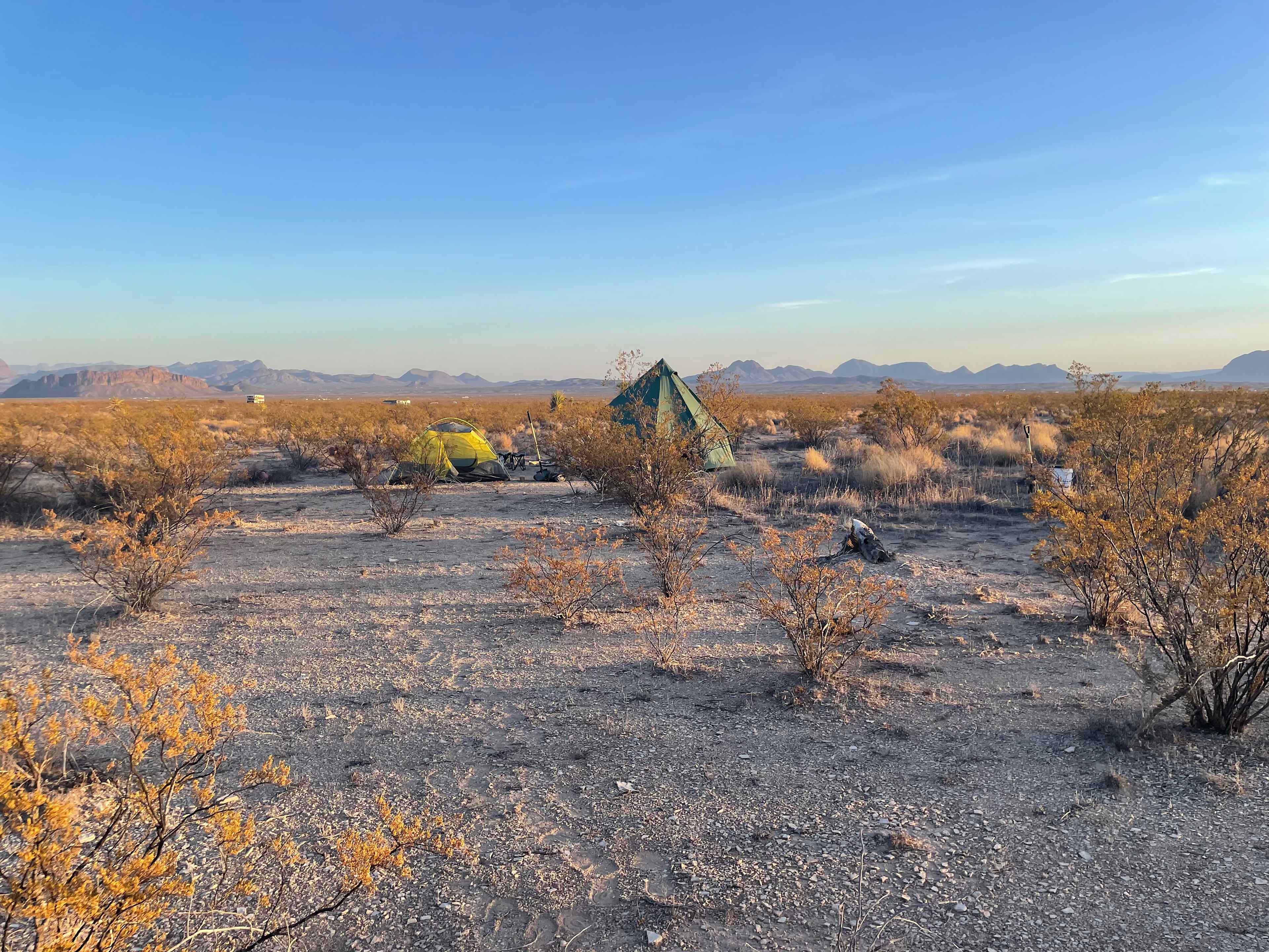 A view of tents set up at one of the established campsites on the property. 