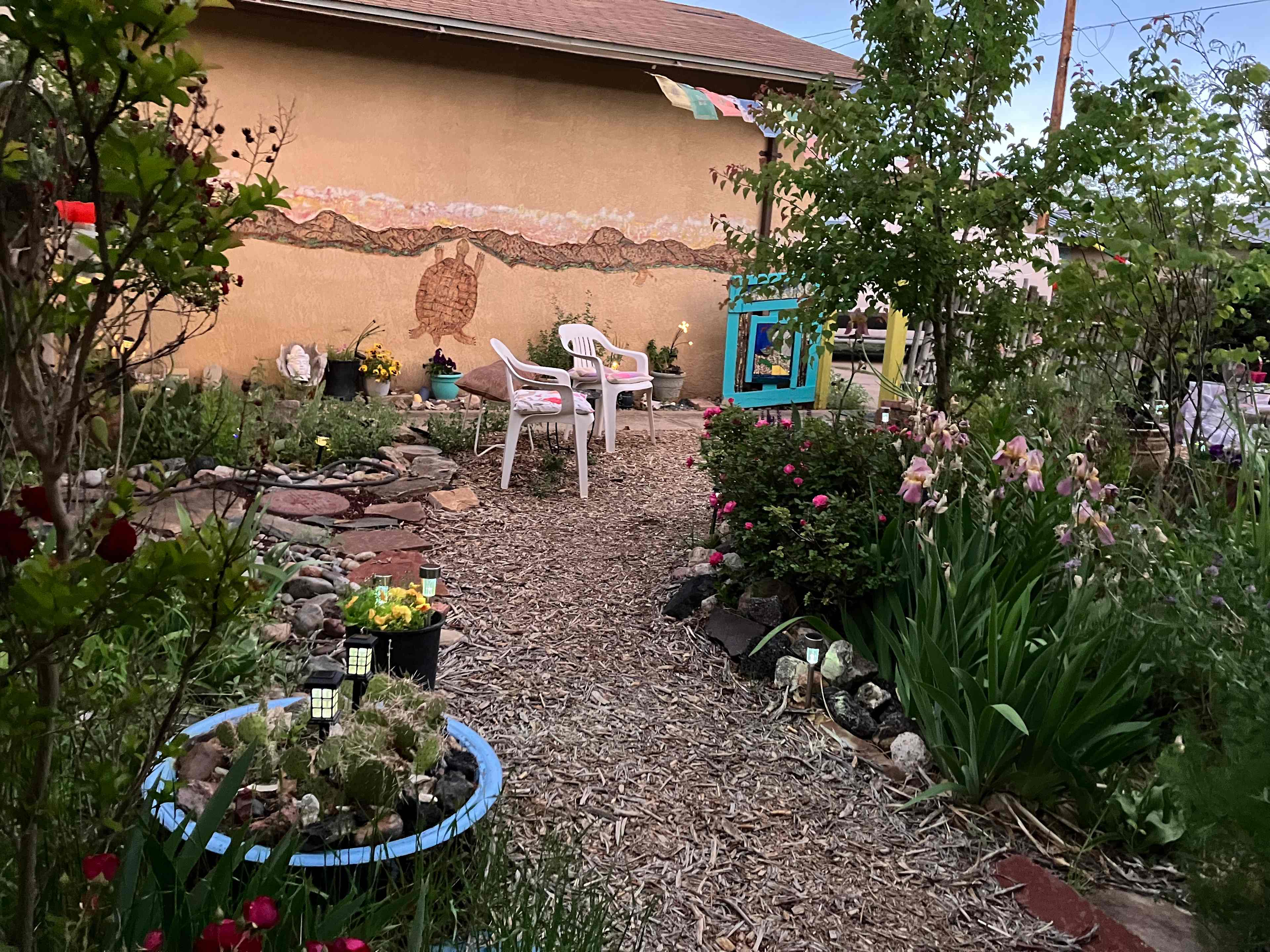 Healing on the Rio Grande !