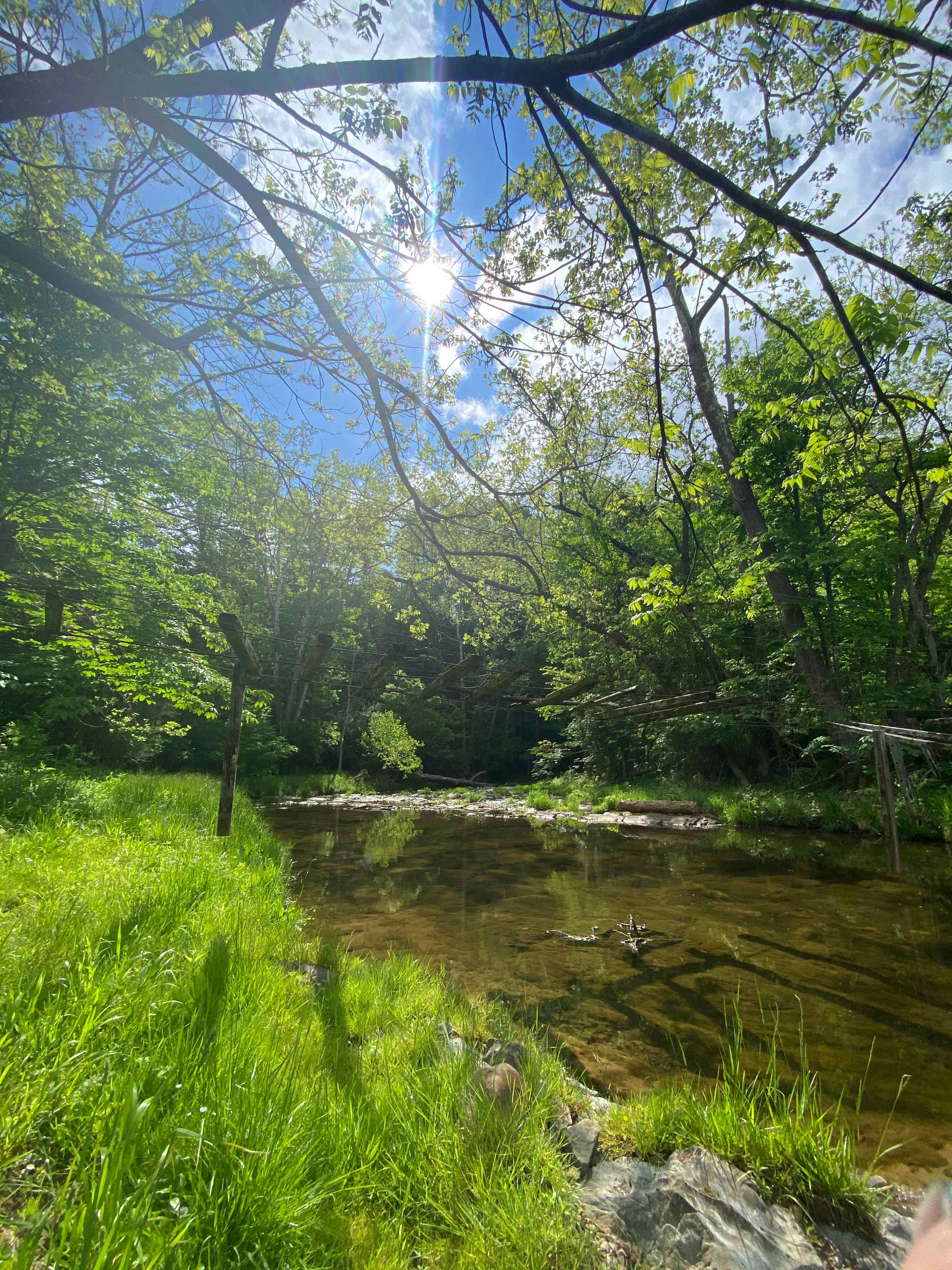 Meadow Creek In Dry Valley