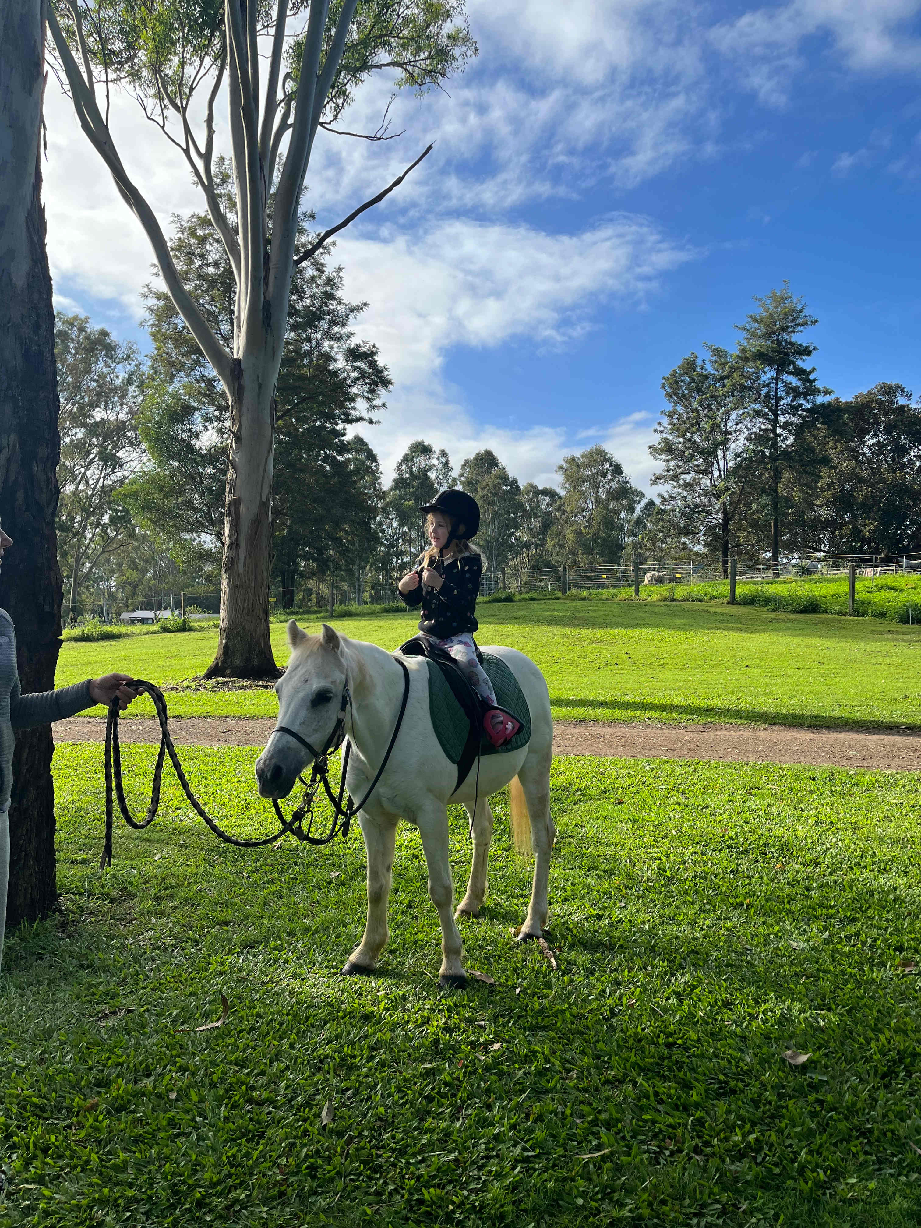 Yabba Creek Farm