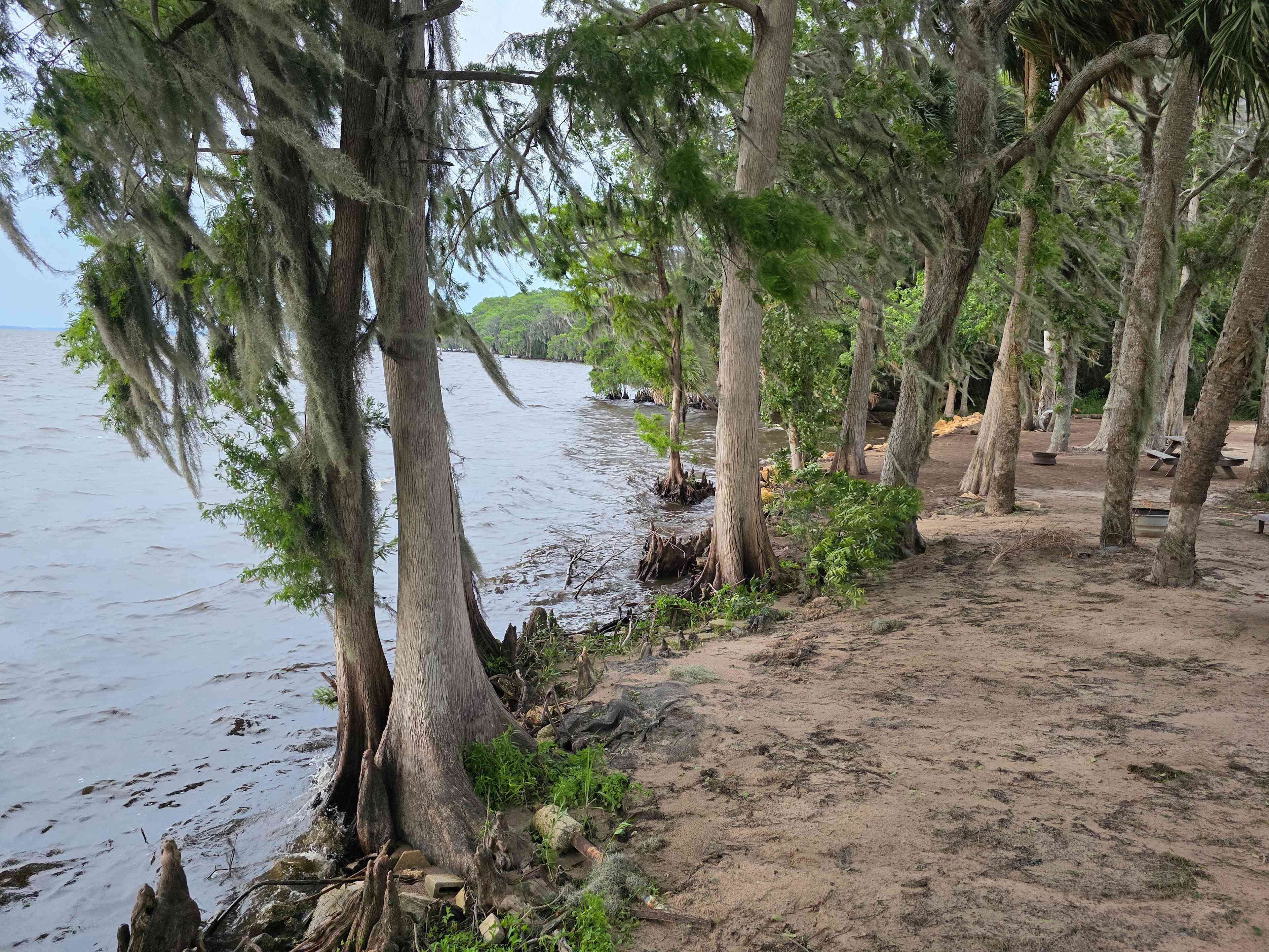 Tiny House + Marina near springs!